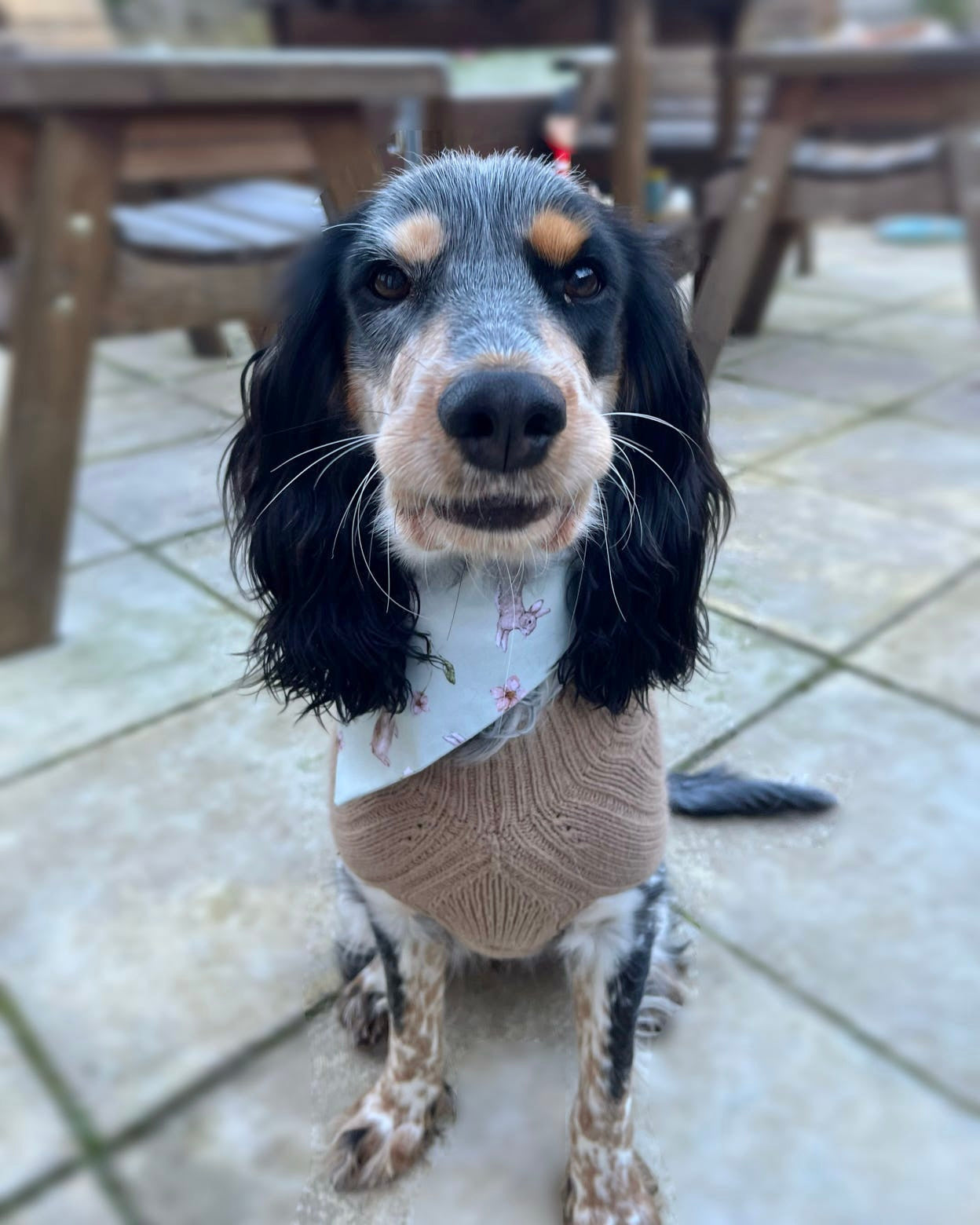 ‘Hoppin’ Into Spring’ Pet bandana