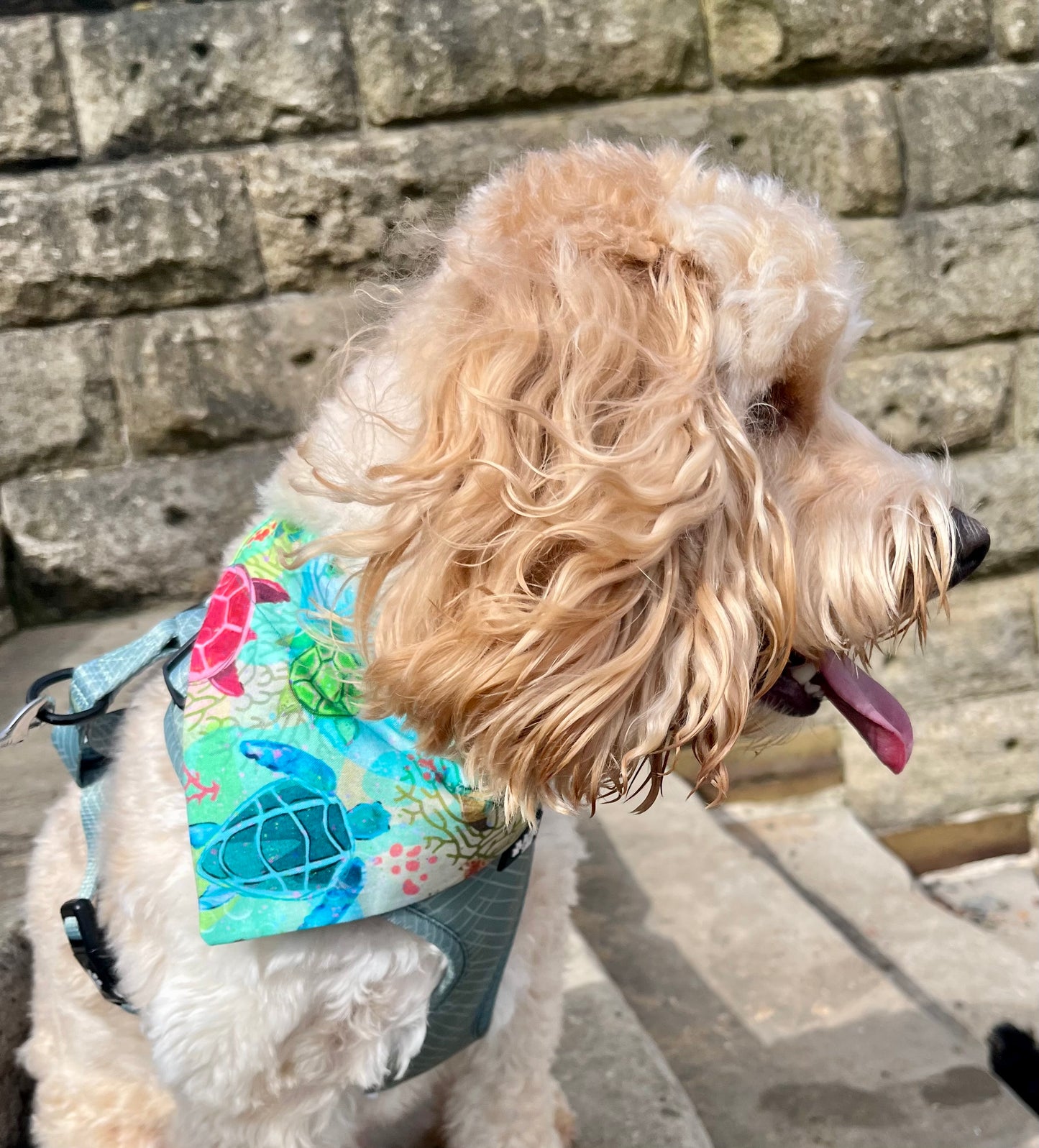 ‘Turtley Awesome’ Pet Bandana