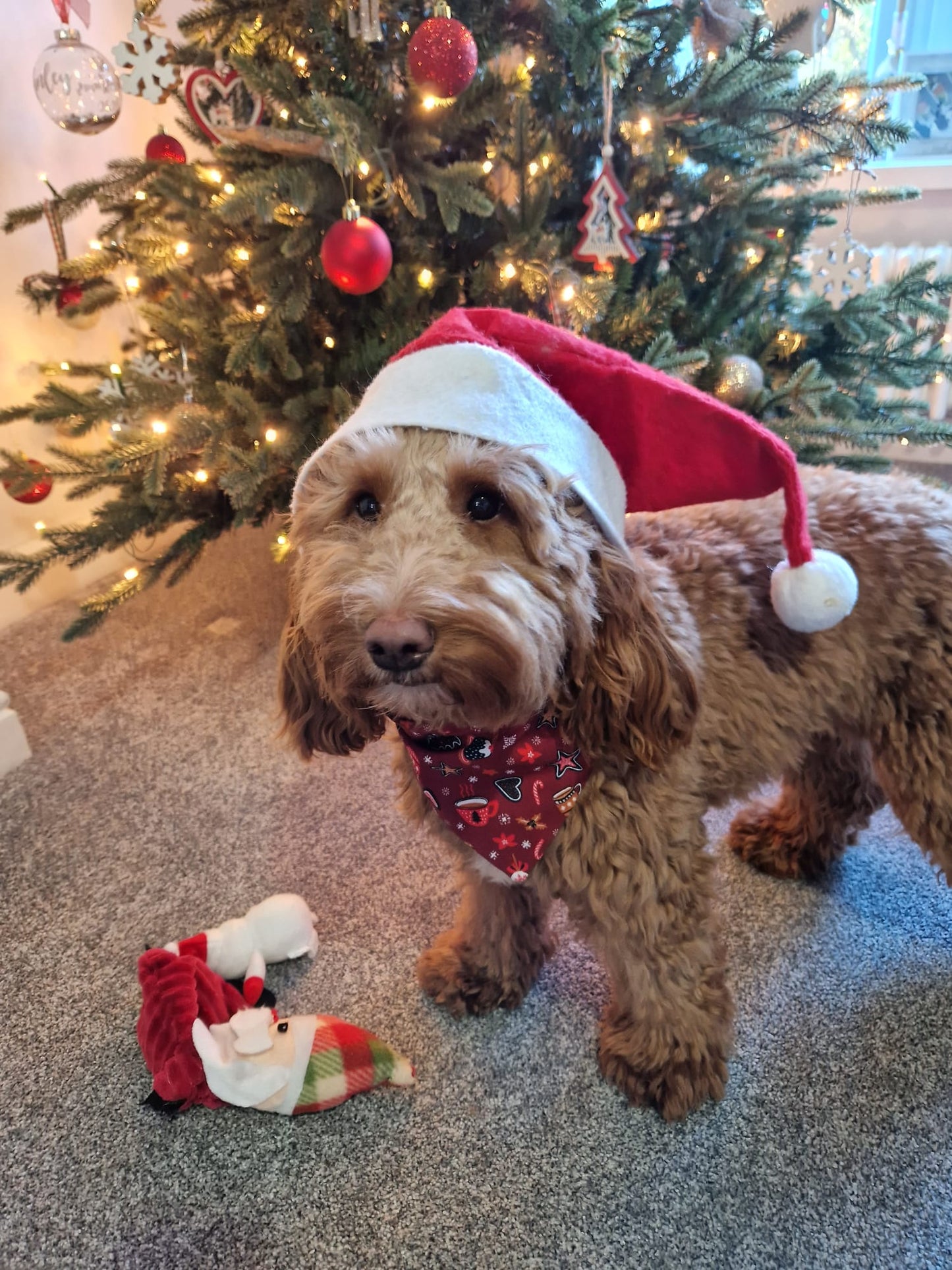 ‘Wag Into Christmas’ (Red) Pet Bandana