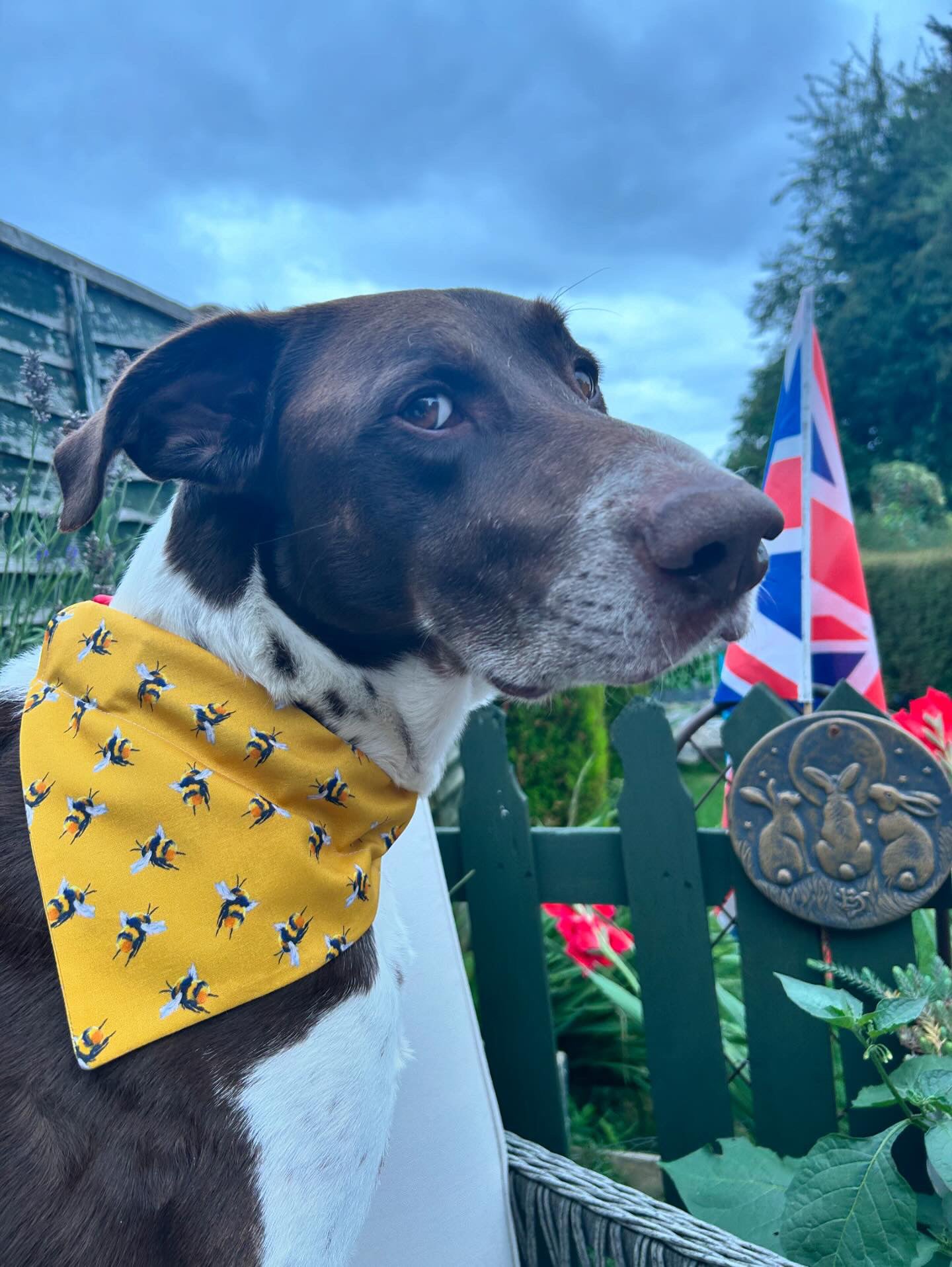 ‘Bee-utiful’ Pet Bandana (Mustard)