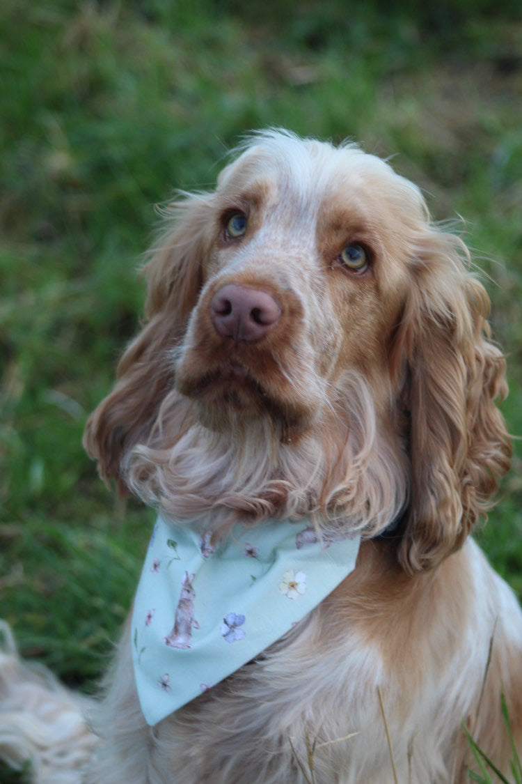 ‘Hoppin’ Into Spring’ Pet bandana