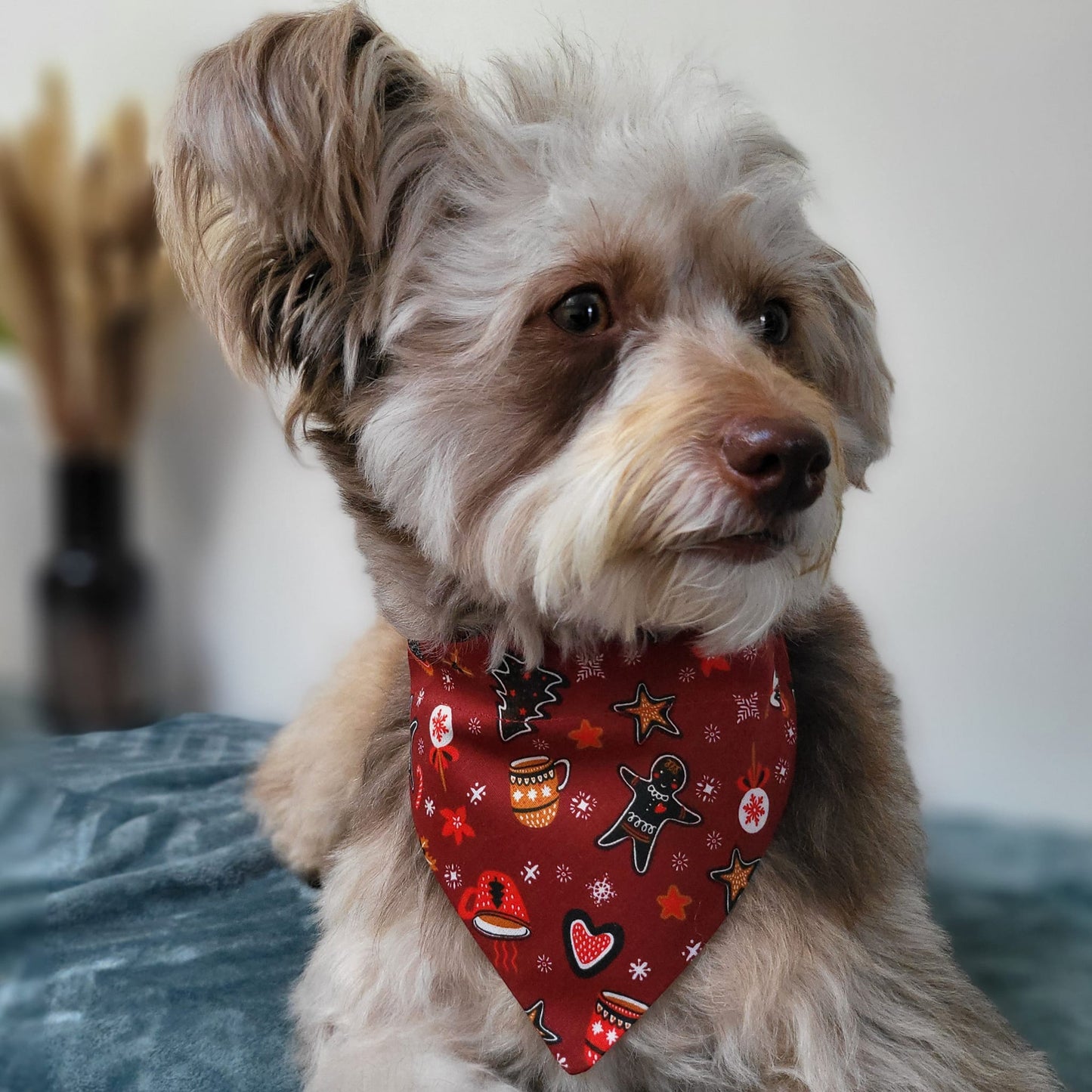 ‘Wag Into Christmas’ (Red) Pet Bandana