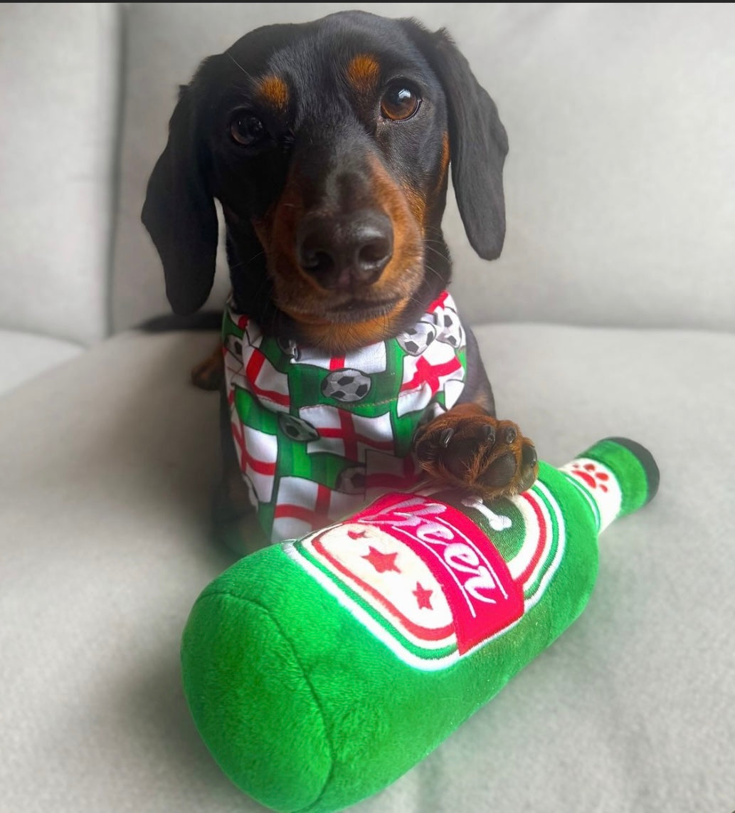 ‘On The Ball ⚽️’ Pet Bandana