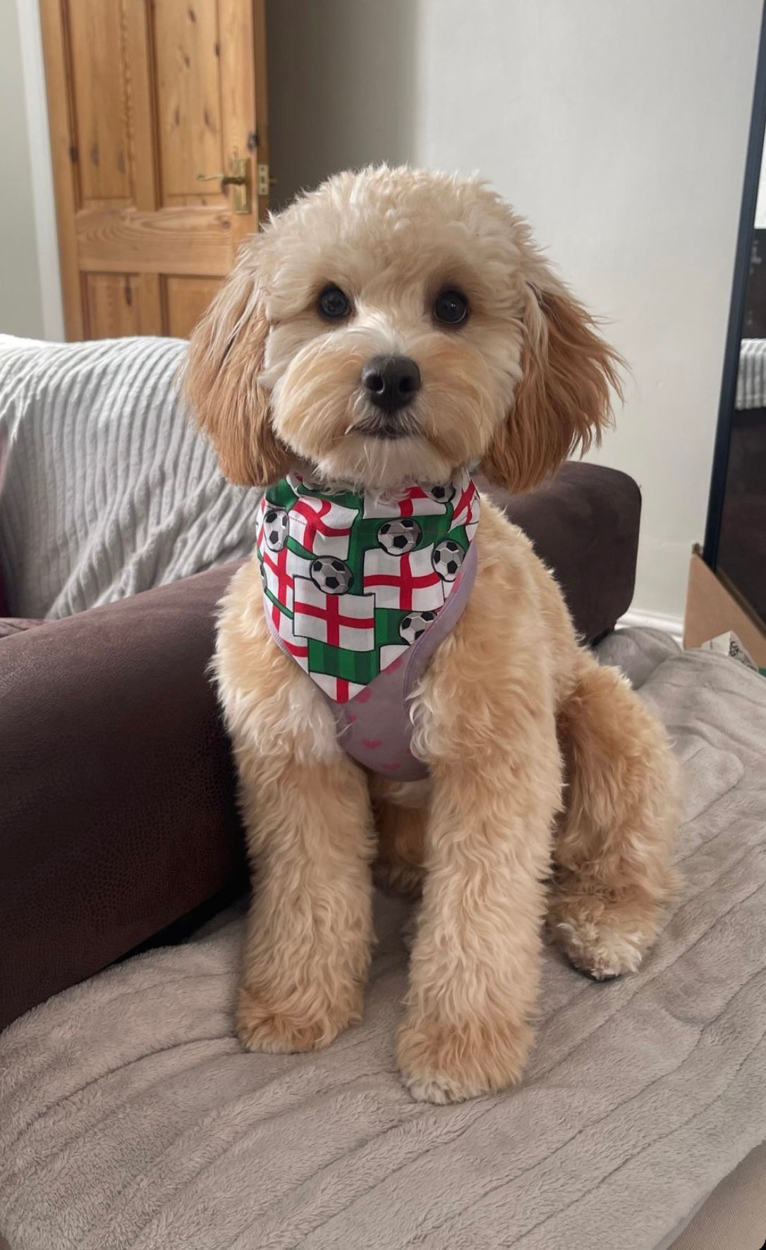 ‘On The Ball ⚽️’ Pet Bandana