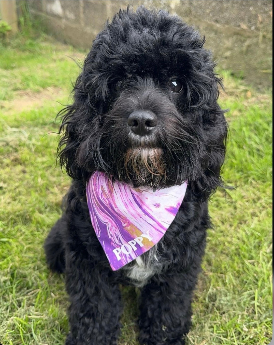 ‘Marbleous’ Pet Bandana