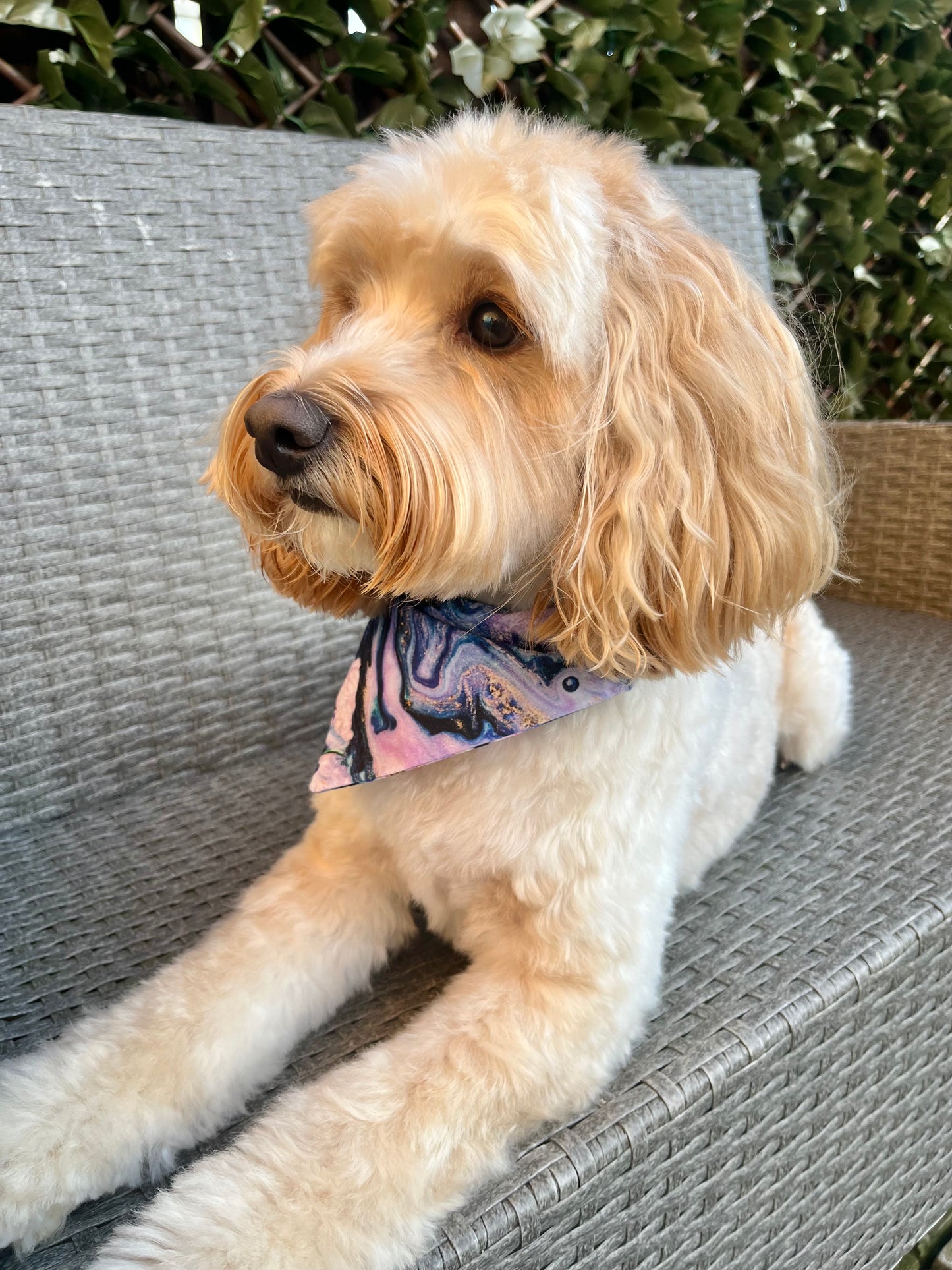 ‘Cosmic Marble’ Pet Bandana