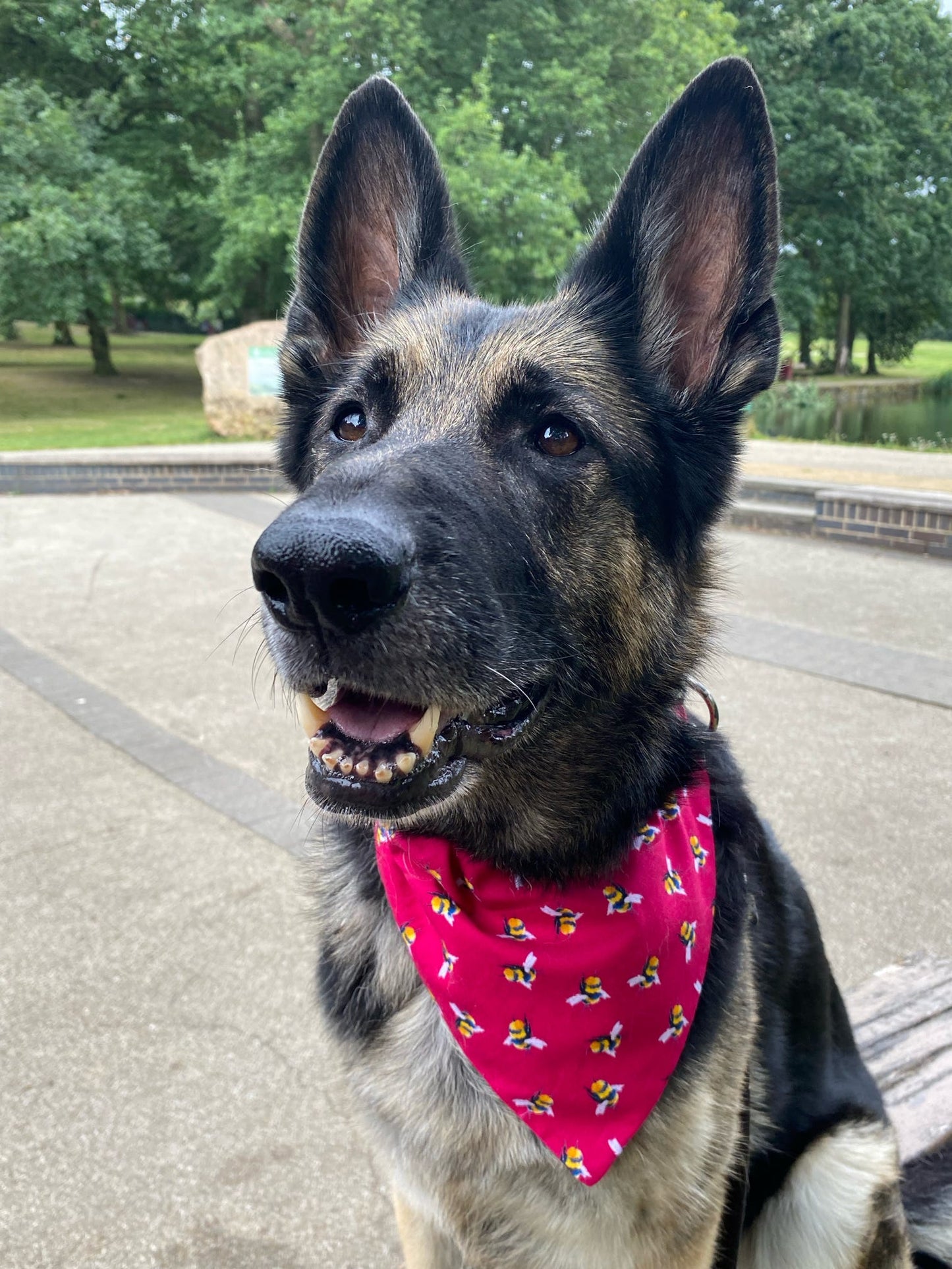 ‘Bee-utiful’ Pet Bandana (Cerise)