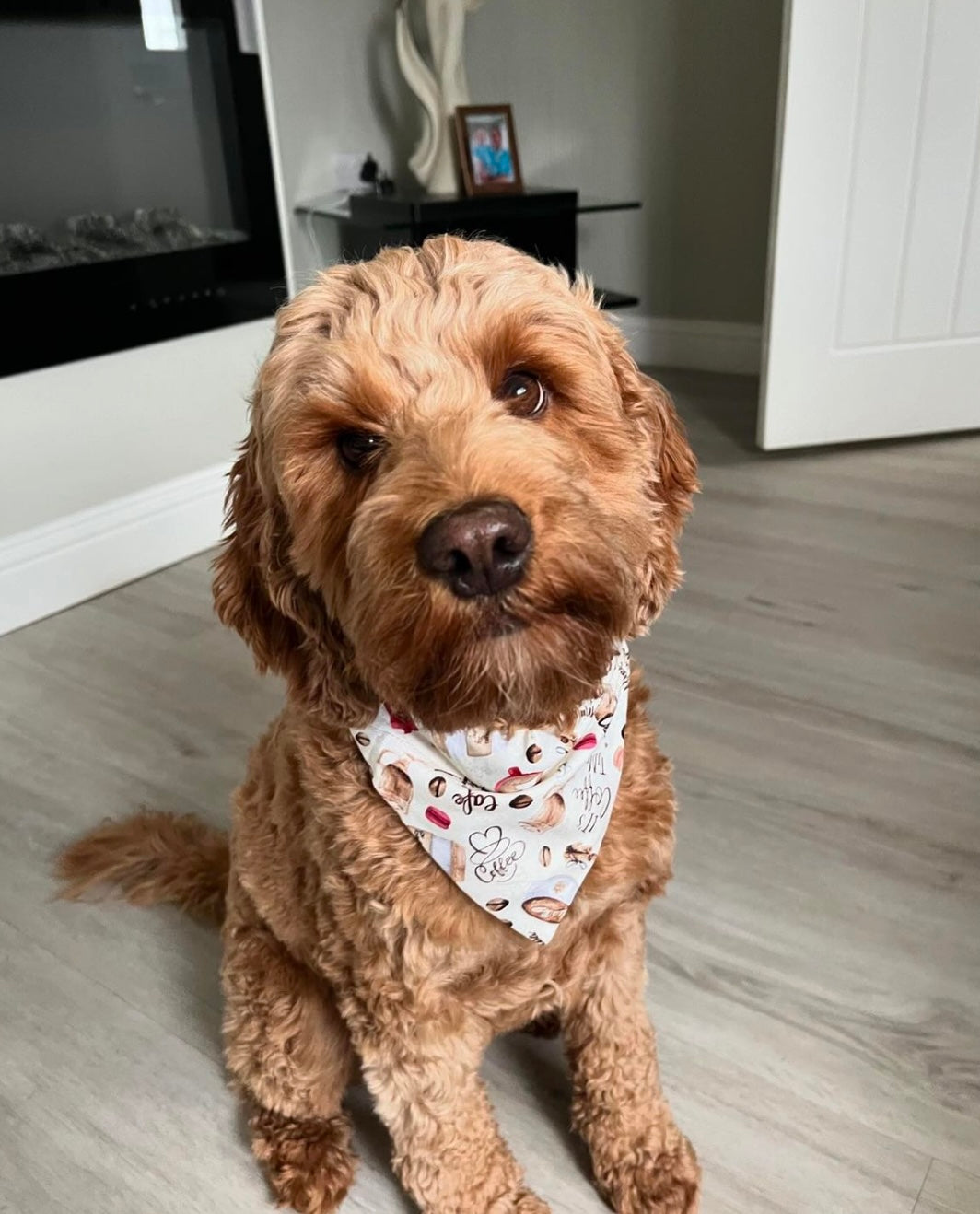 ‘Espresso Yourself’ Pet Bandana