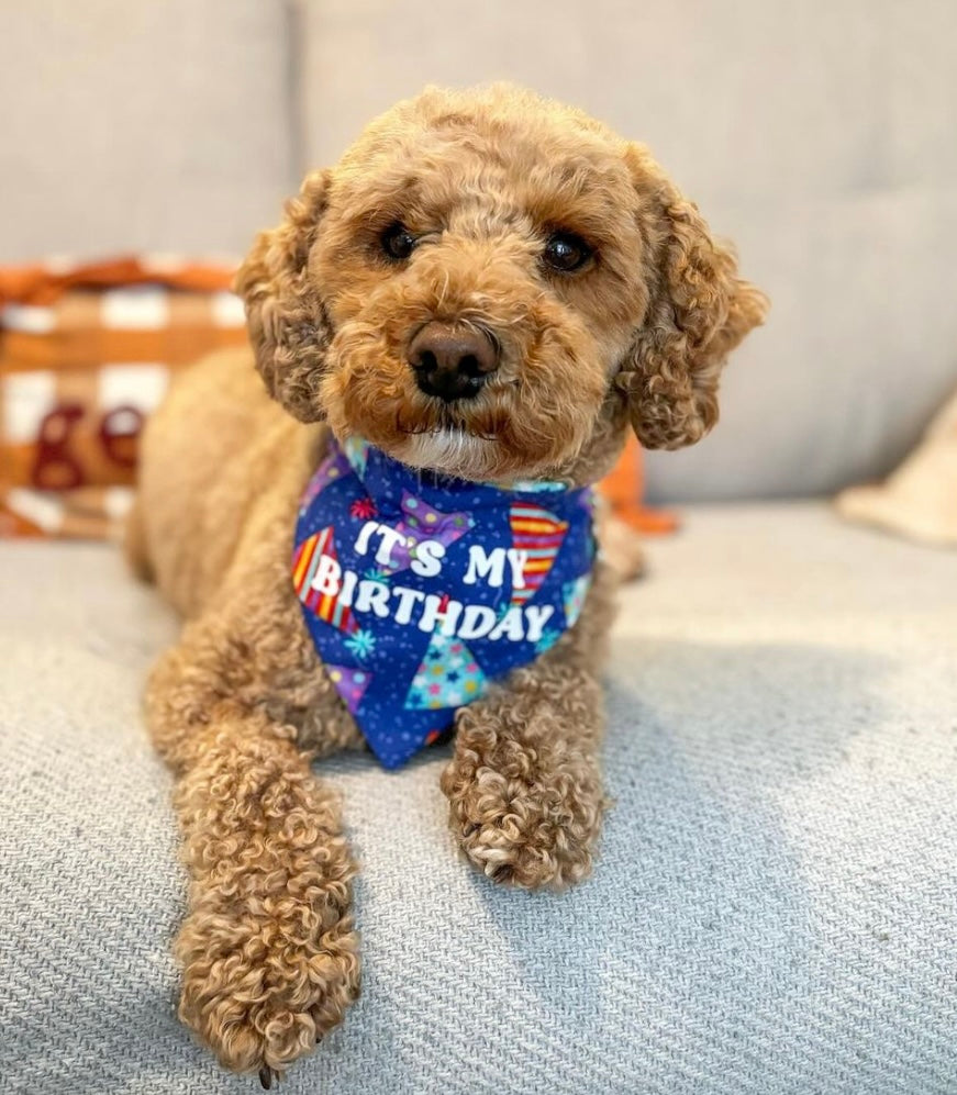 Birthday Bandana 🎉🥳