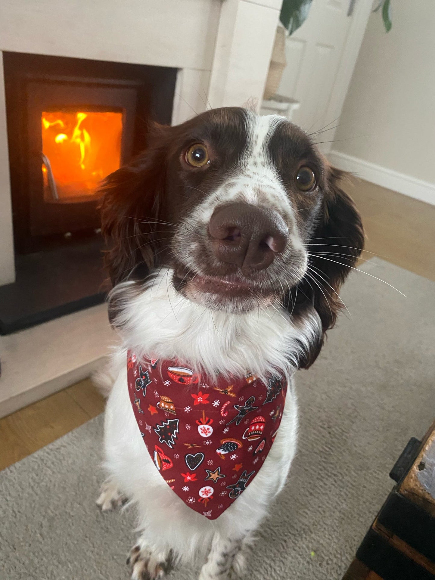 ‘Wag Into Christmas’ (Red) Pet Bandana