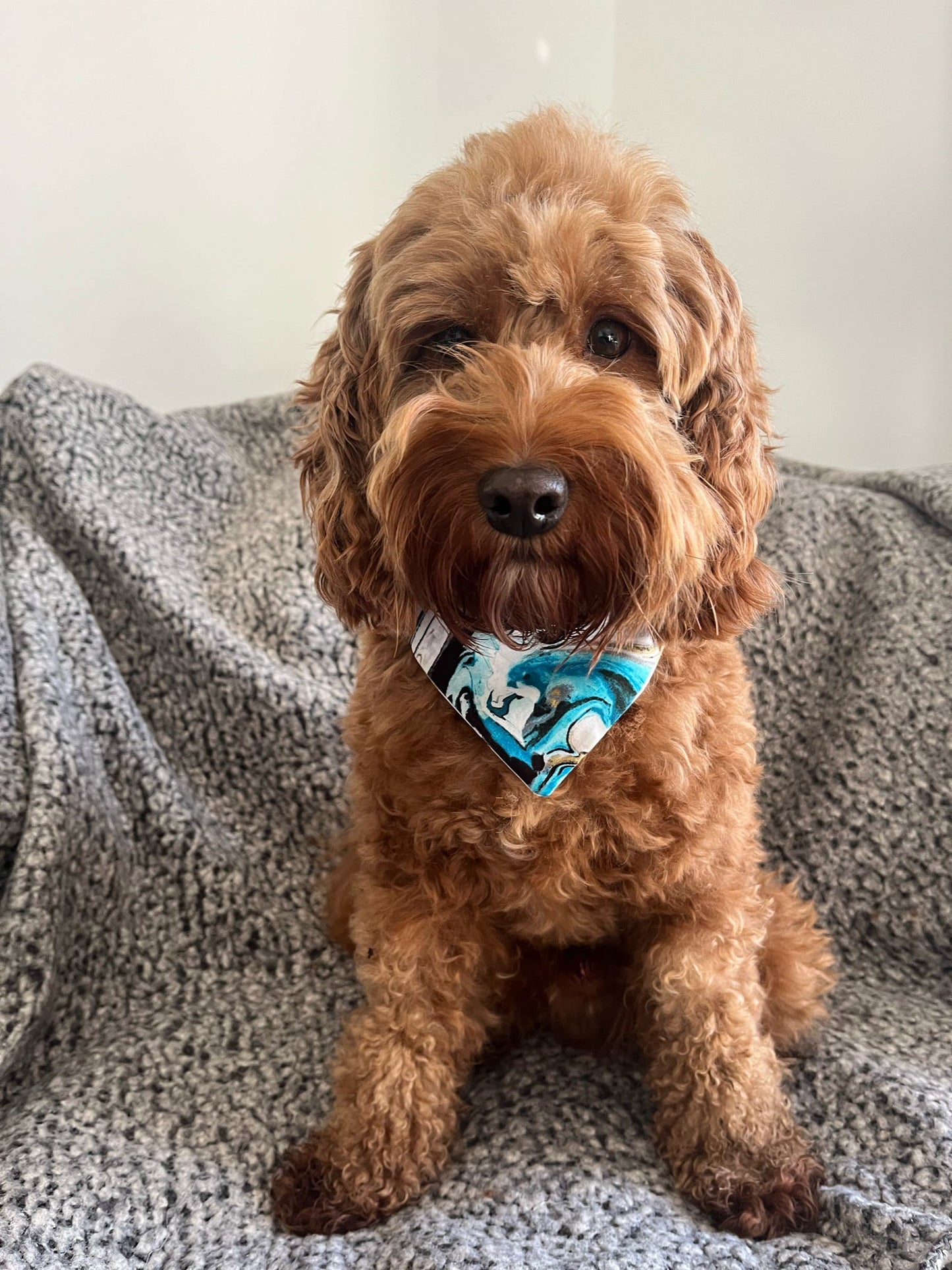 ‘Marble Noir’ Pet Bandana