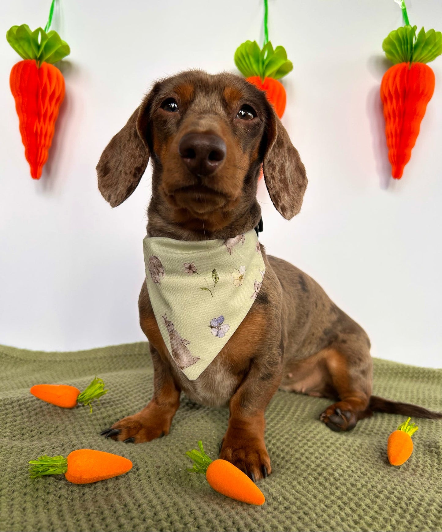 ‘Hoppin’ Into Spring’ Pet bandana