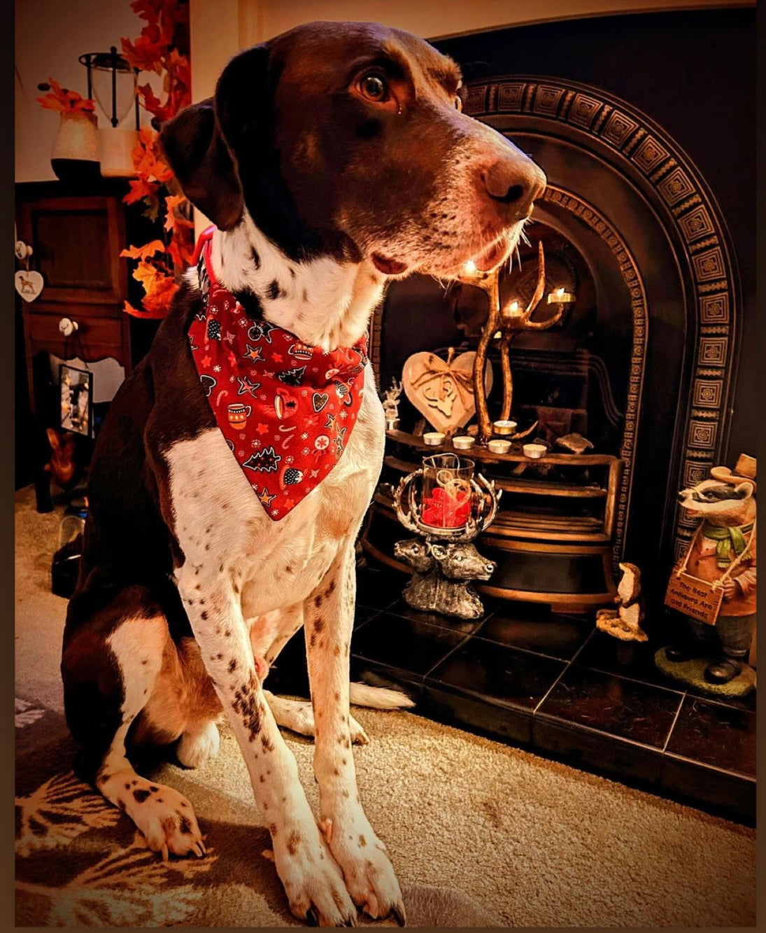 ‘Wag Into Christmas’ (Red) Pet Bandana