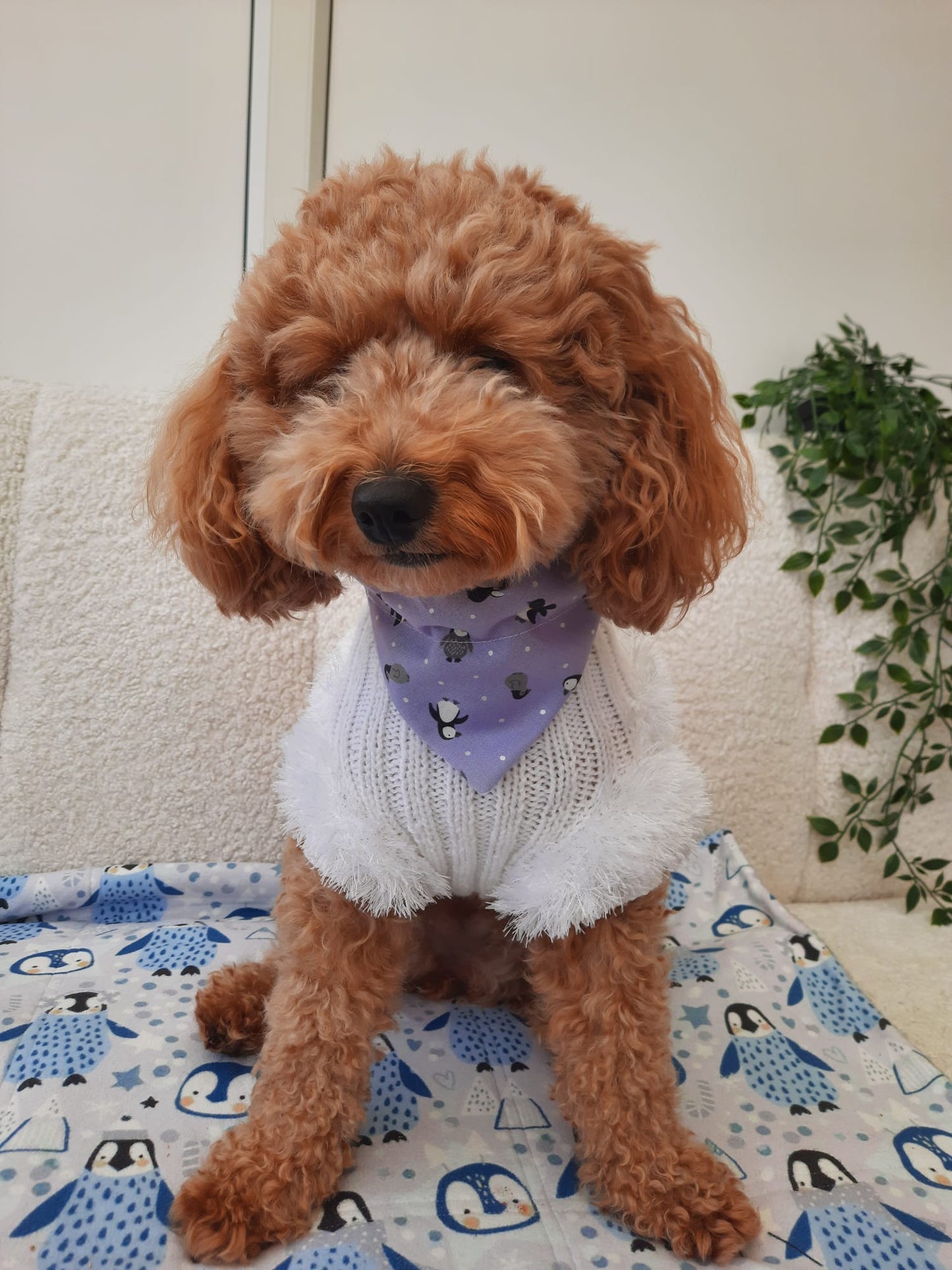 ‘Happy Paws’ Pet Bandana