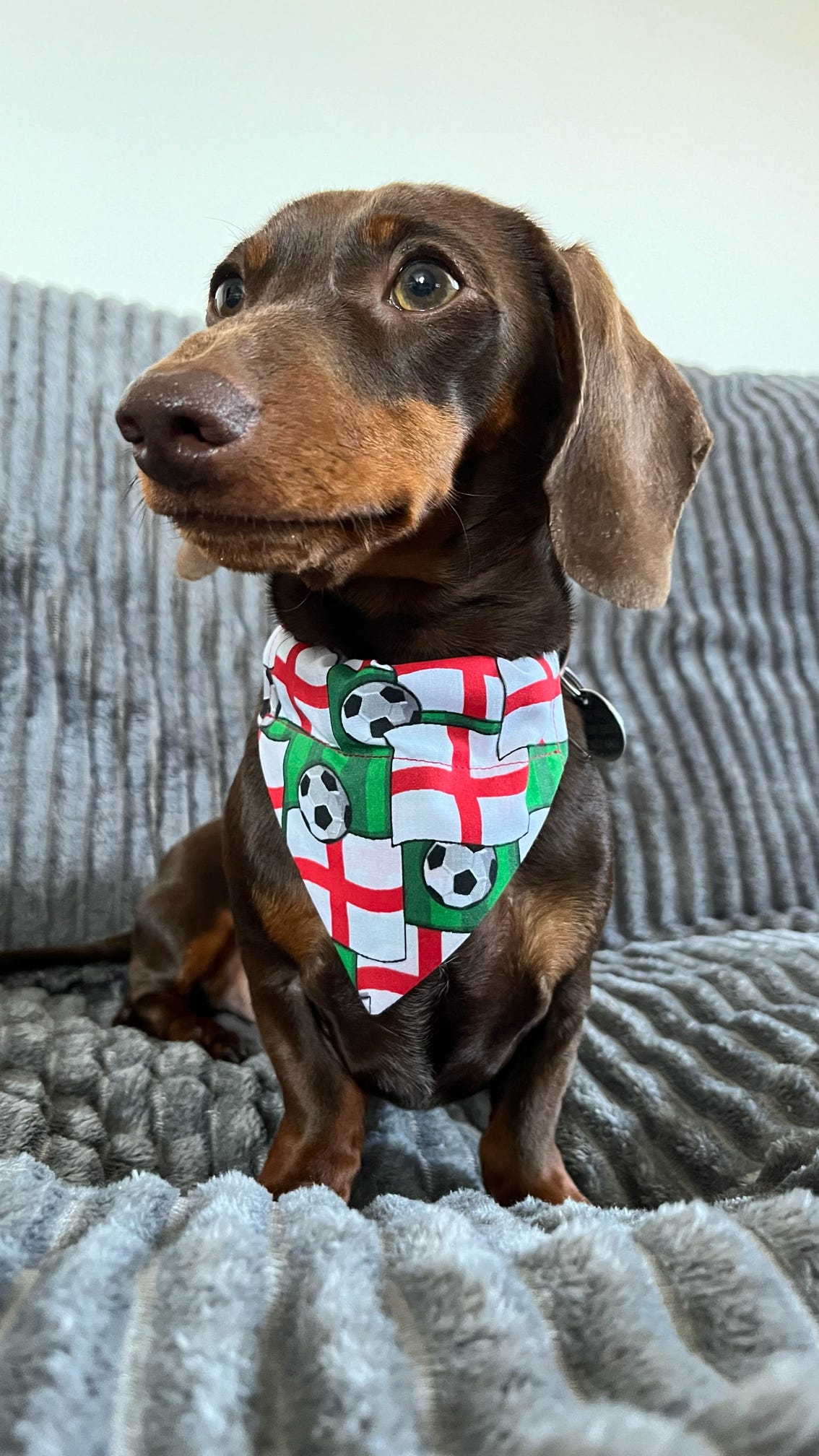 ‘On The Ball ⚽️’ Pet Bandana