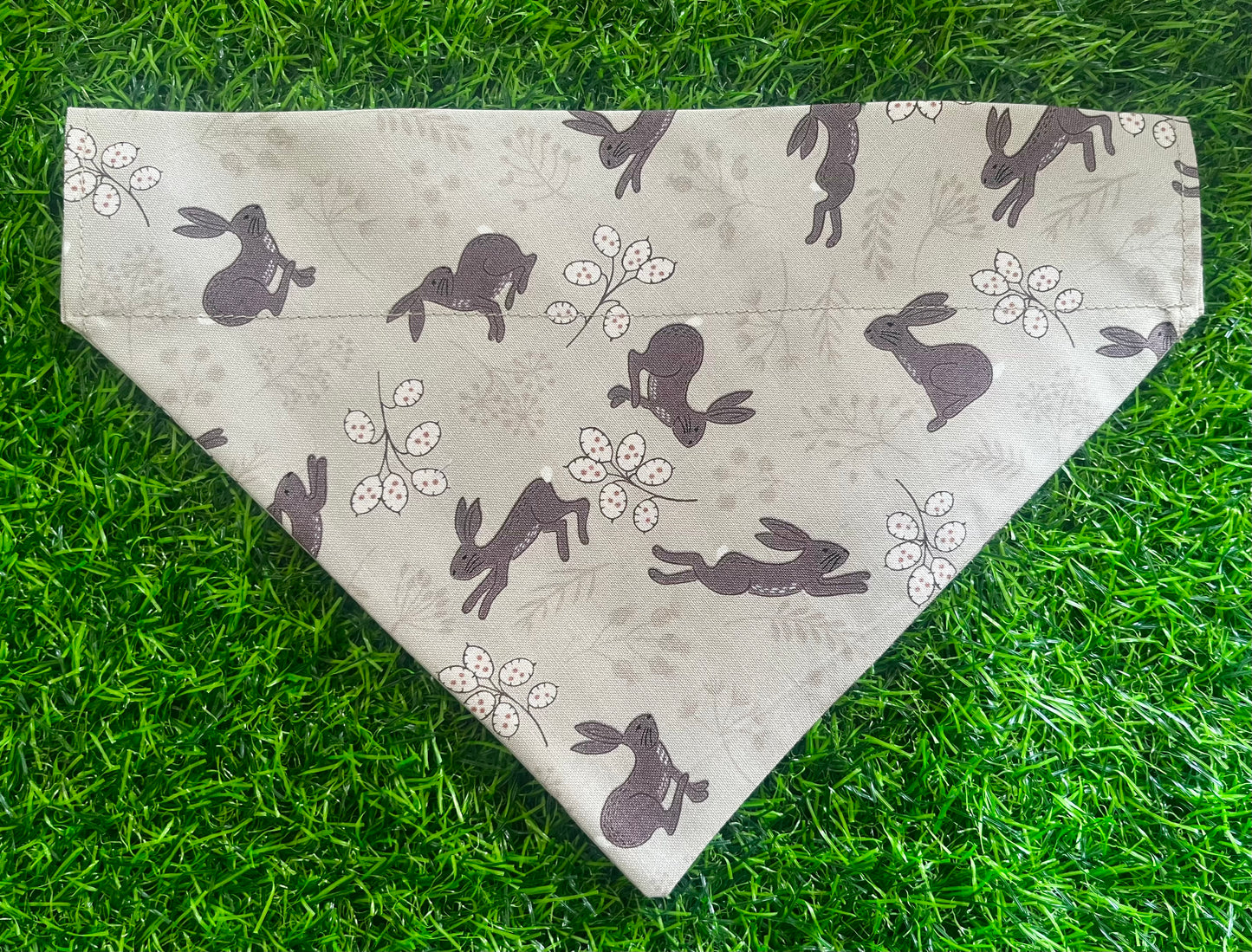 ‘Don’t Worry, Be Hoppy’ Pet Bandana