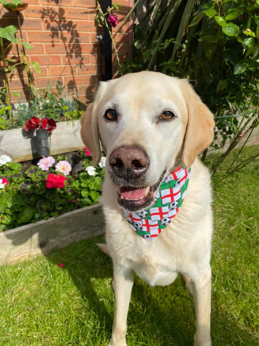 ‘On The Ball ⚽️’ Pet Bandana