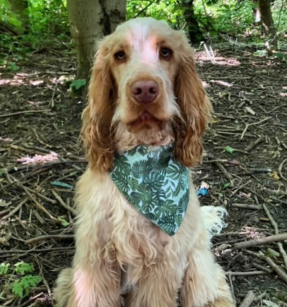 ‘Safari So Good’ Pet Bandana