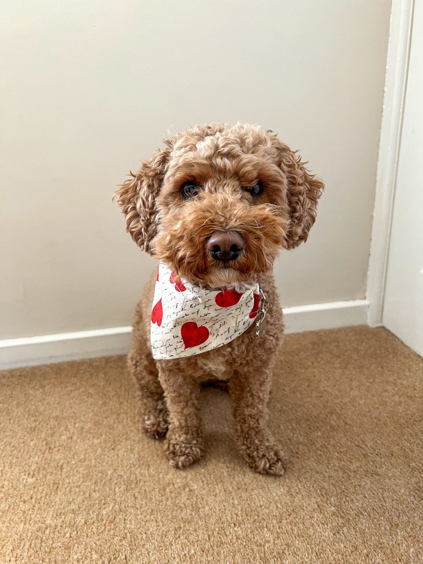 ‘Woof You’ Pet Bandana