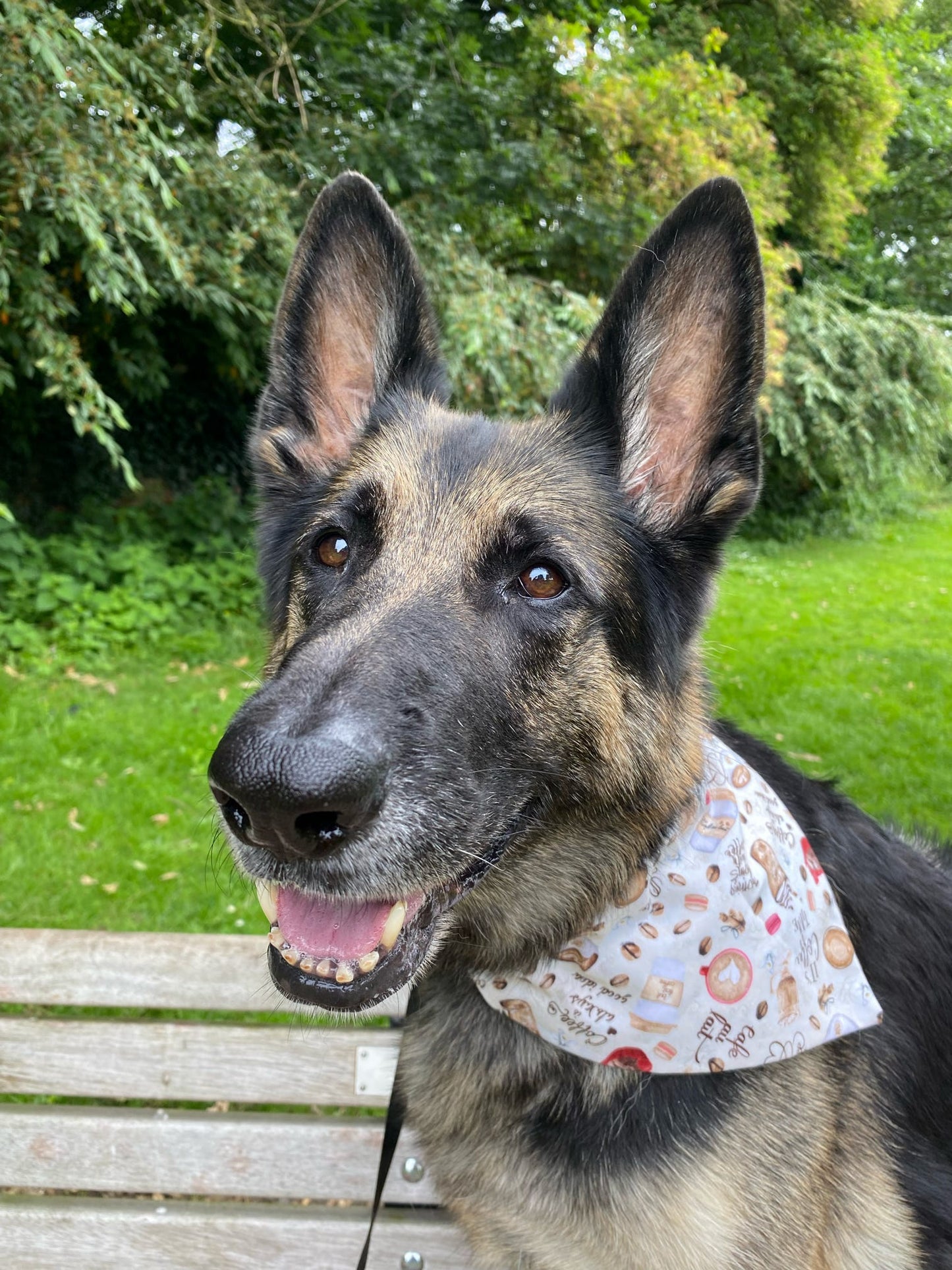 ‘Espresso Yourself’ Pet Bandana