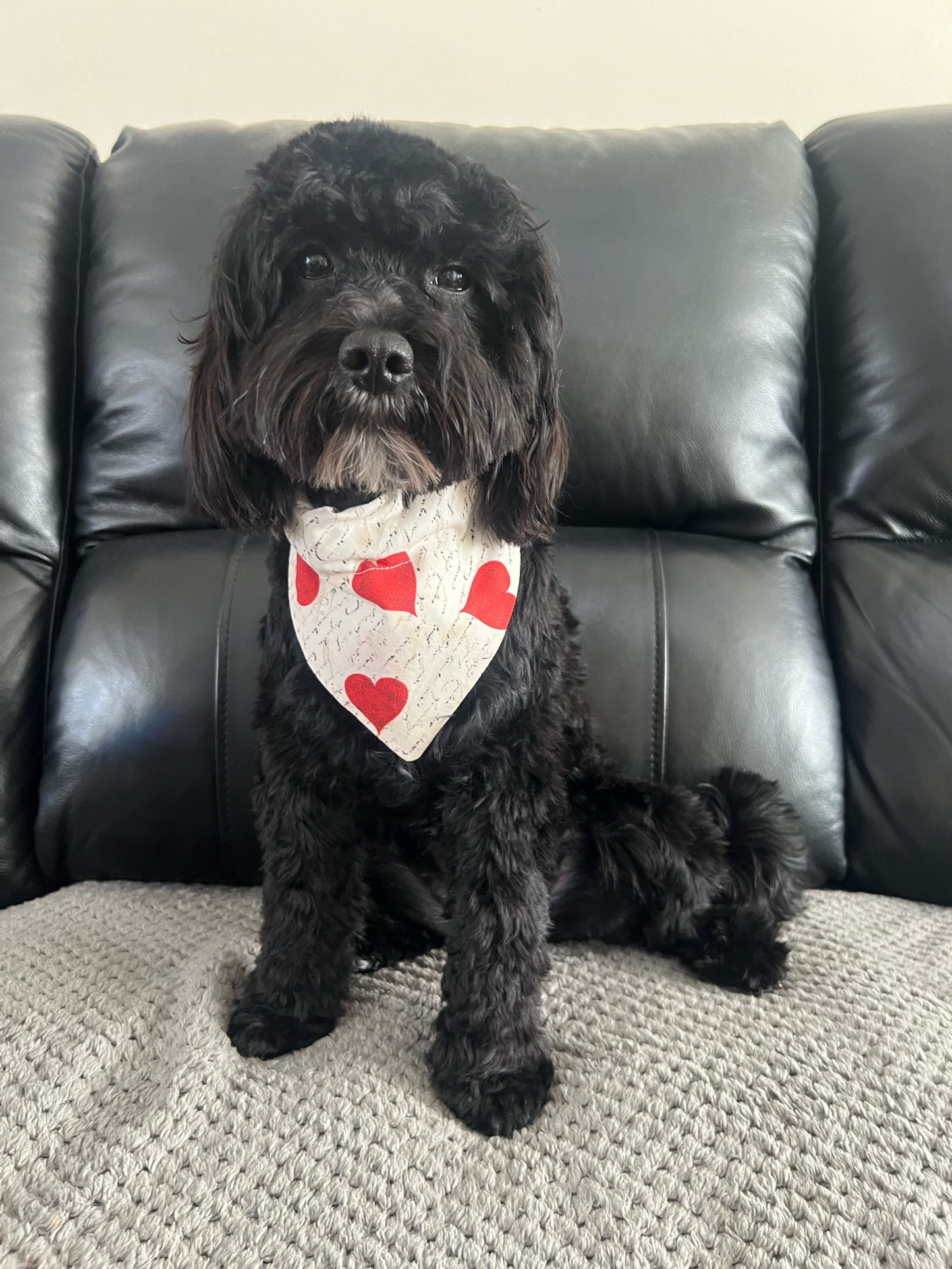 ‘Woof You’ Pet Bandana