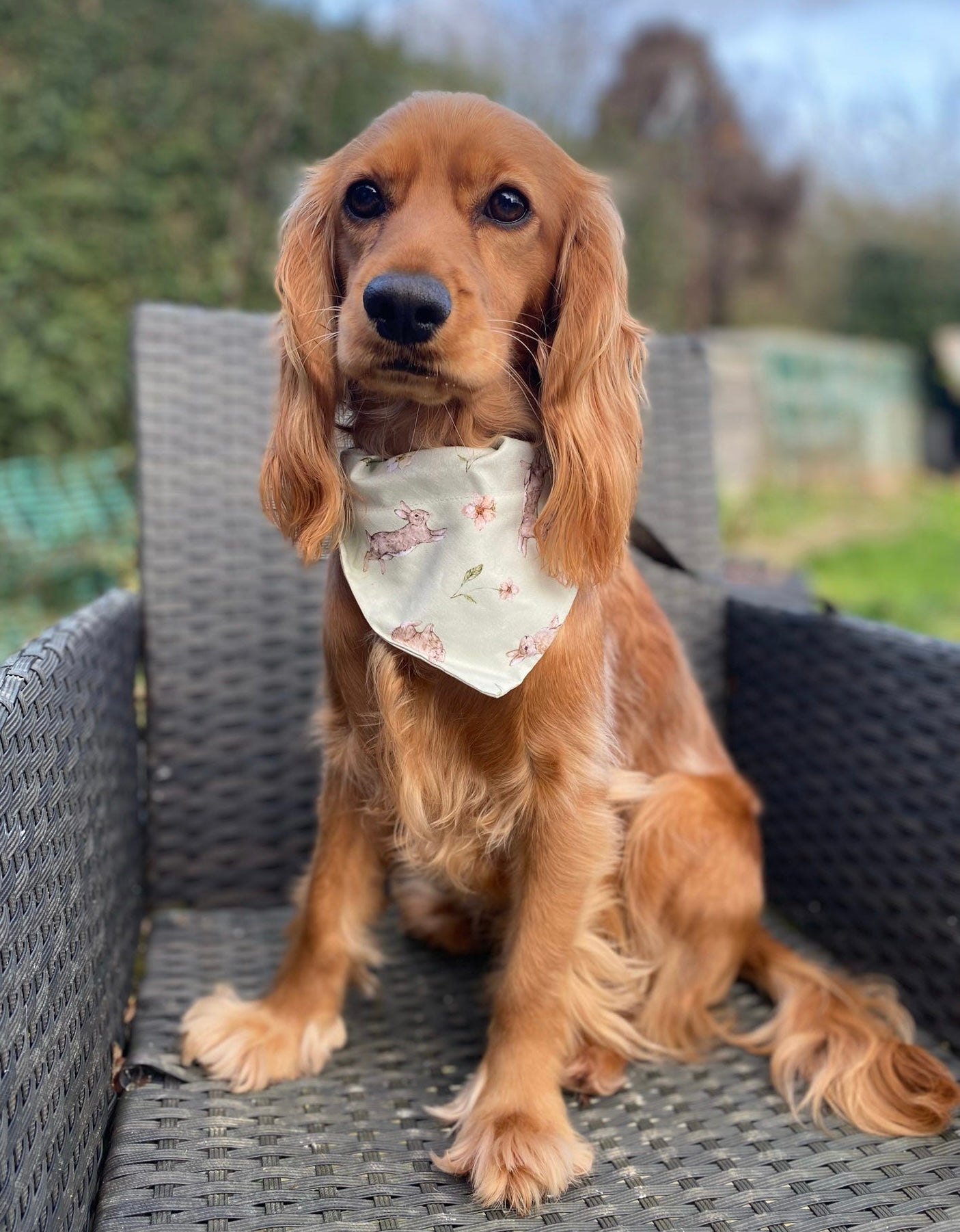 ‘Hoppin’ Into Spring’ Pet bandana