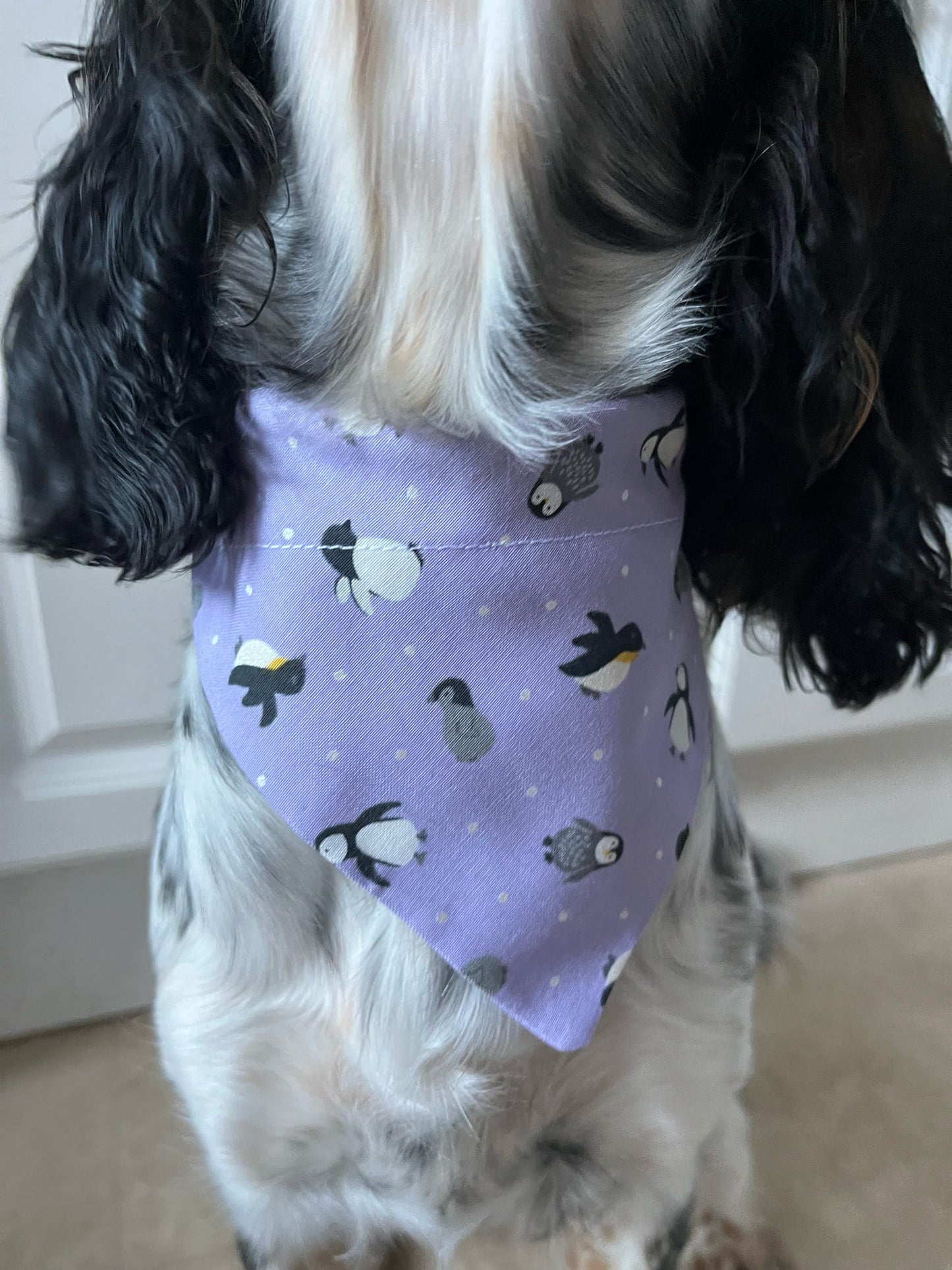 ‘Happy Paws’ Pet Bandana