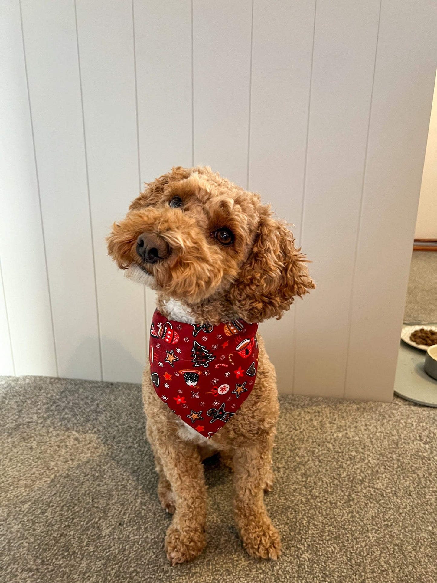 ‘Wag Into Christmas’ (Red) Pet Bandana