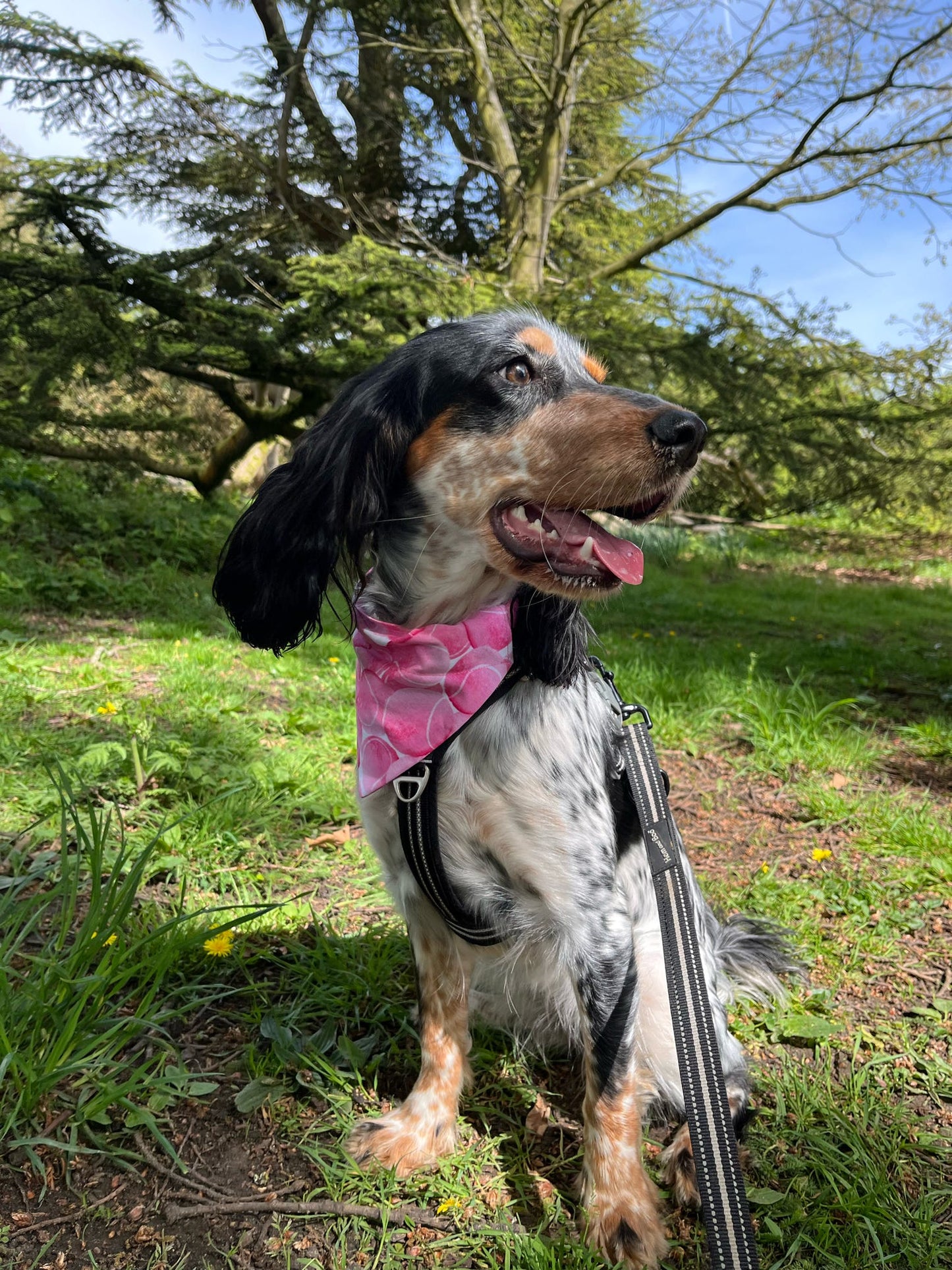 ‘So Fetch’ Pet Bandana