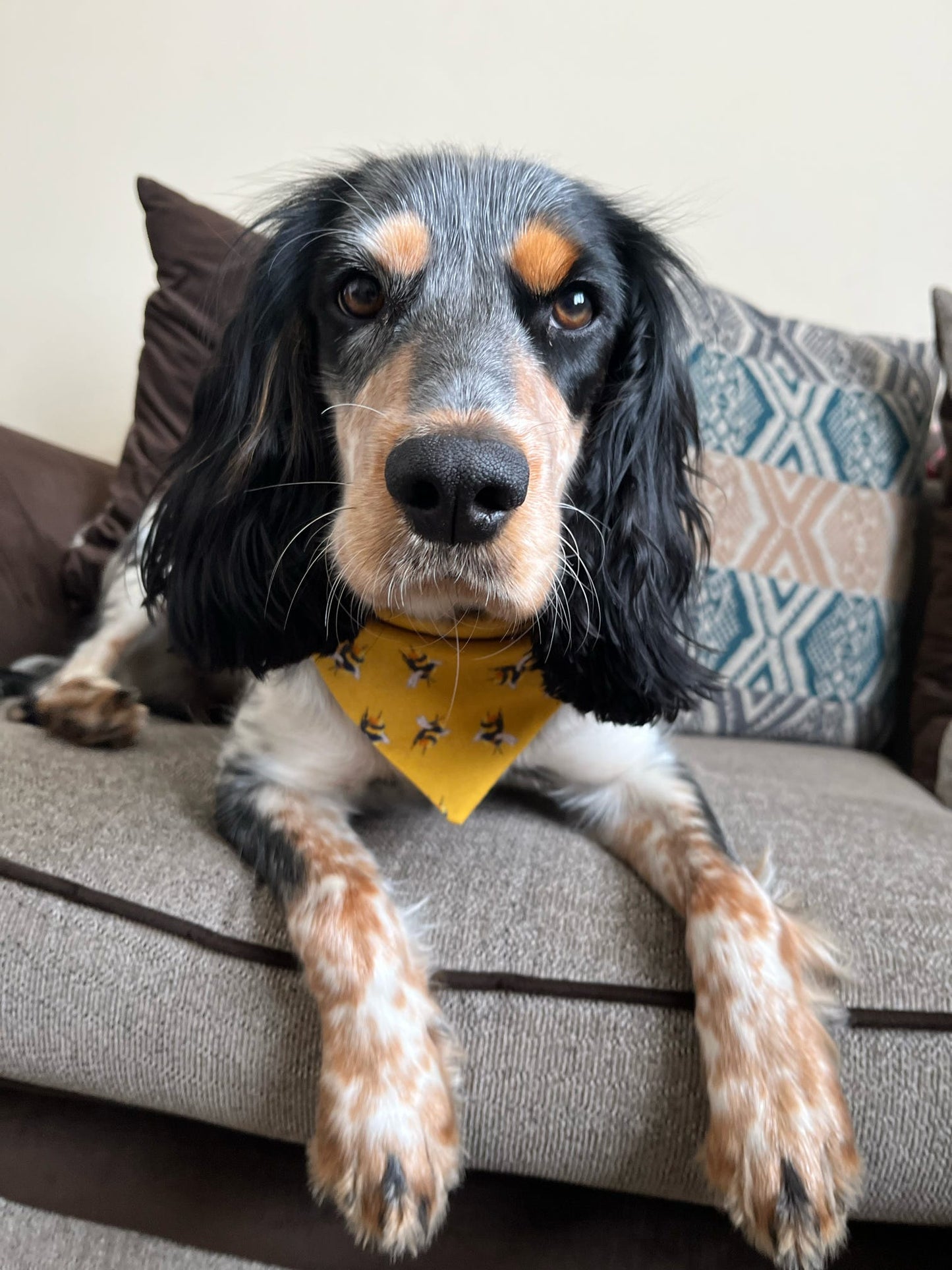 ‘Bee-utiful’ Pet Bandana (Mustard)