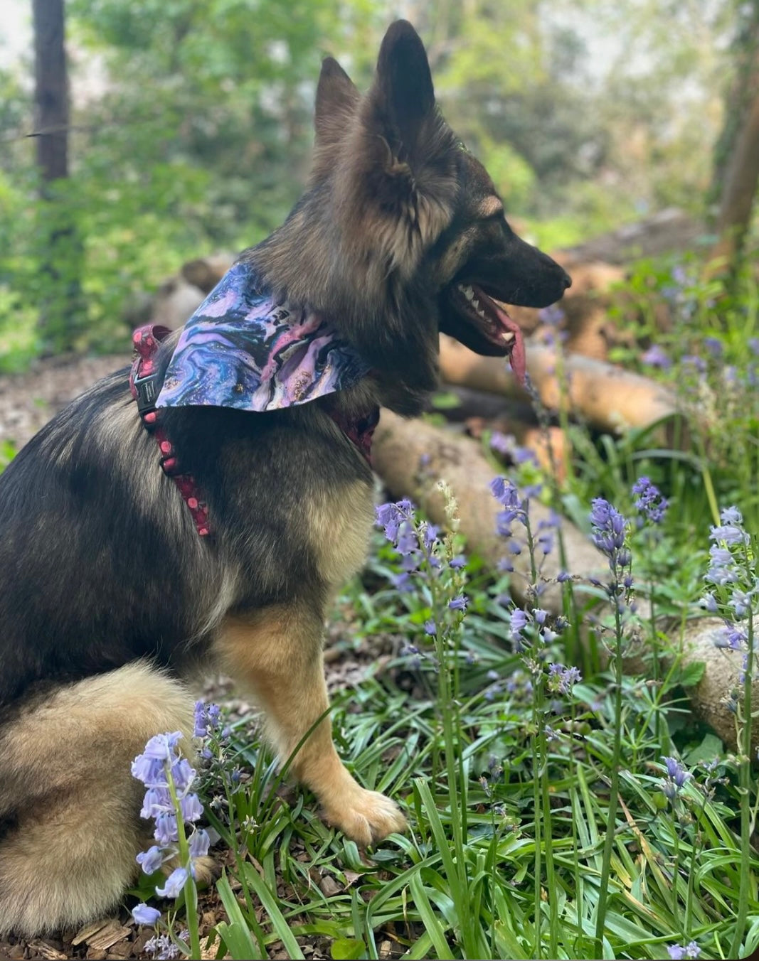 ‘Cosmic Marble’ Pet Bandana