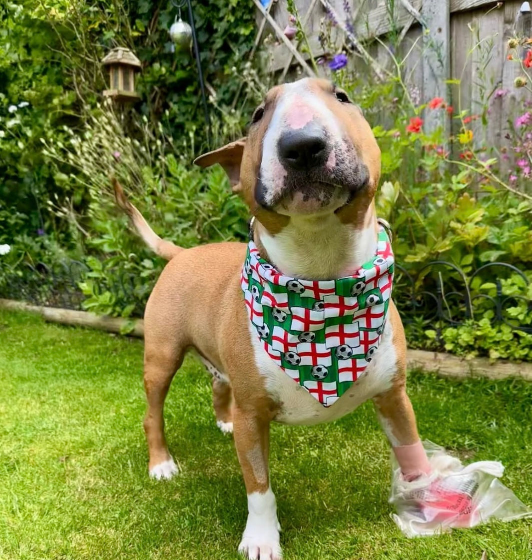 ‘On The Ball ⚽️’ Pet Bandana