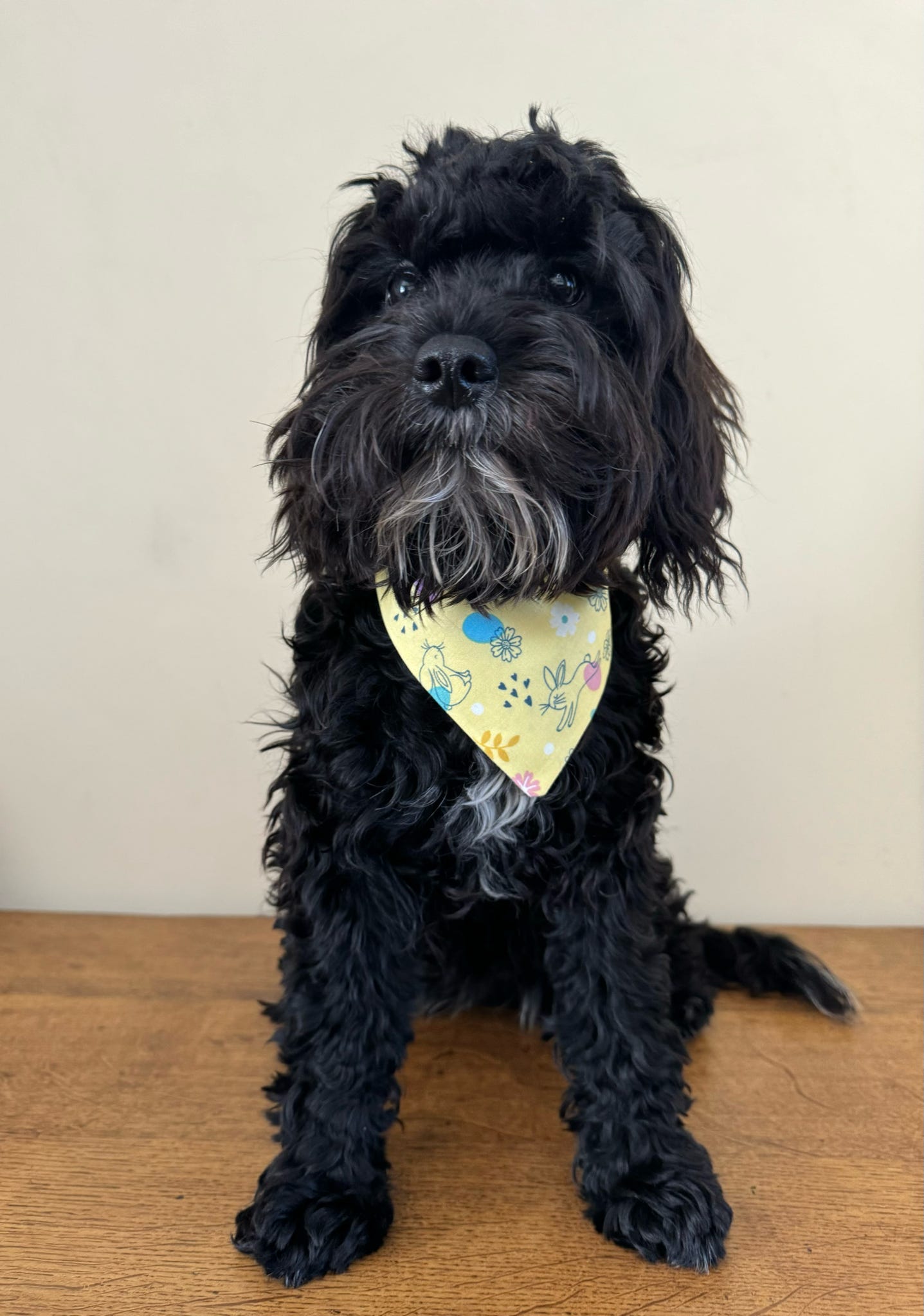 ‘Hoppily Ever After’ Pet Bandana