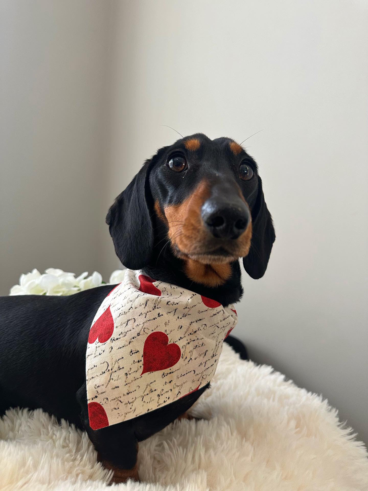 ‘Woof You’ Pet Bandana