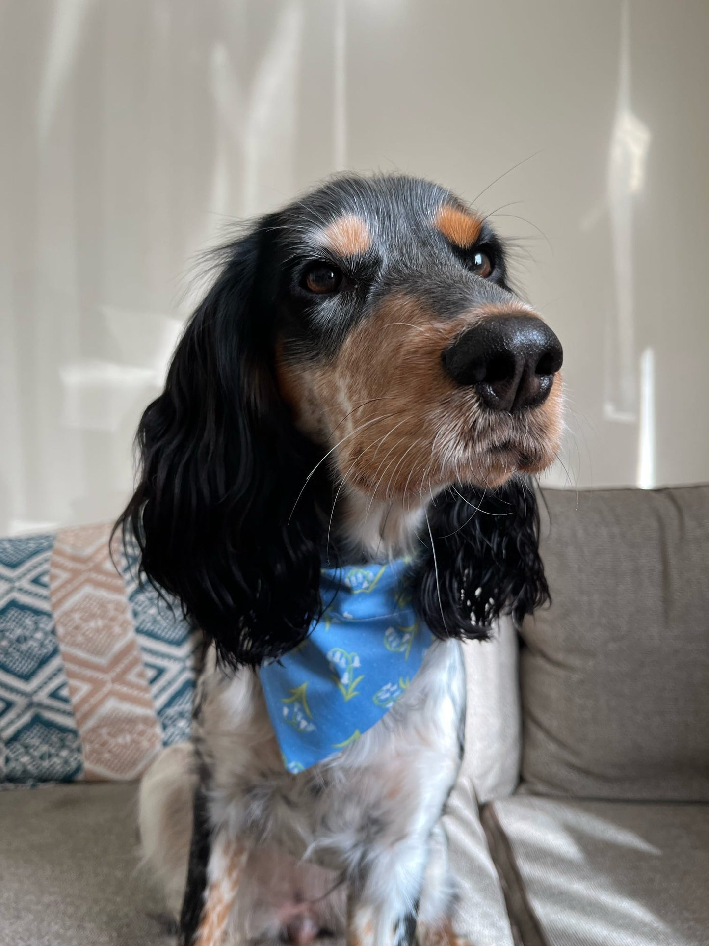 ‘Bluebell Woods’ Pet Bandana