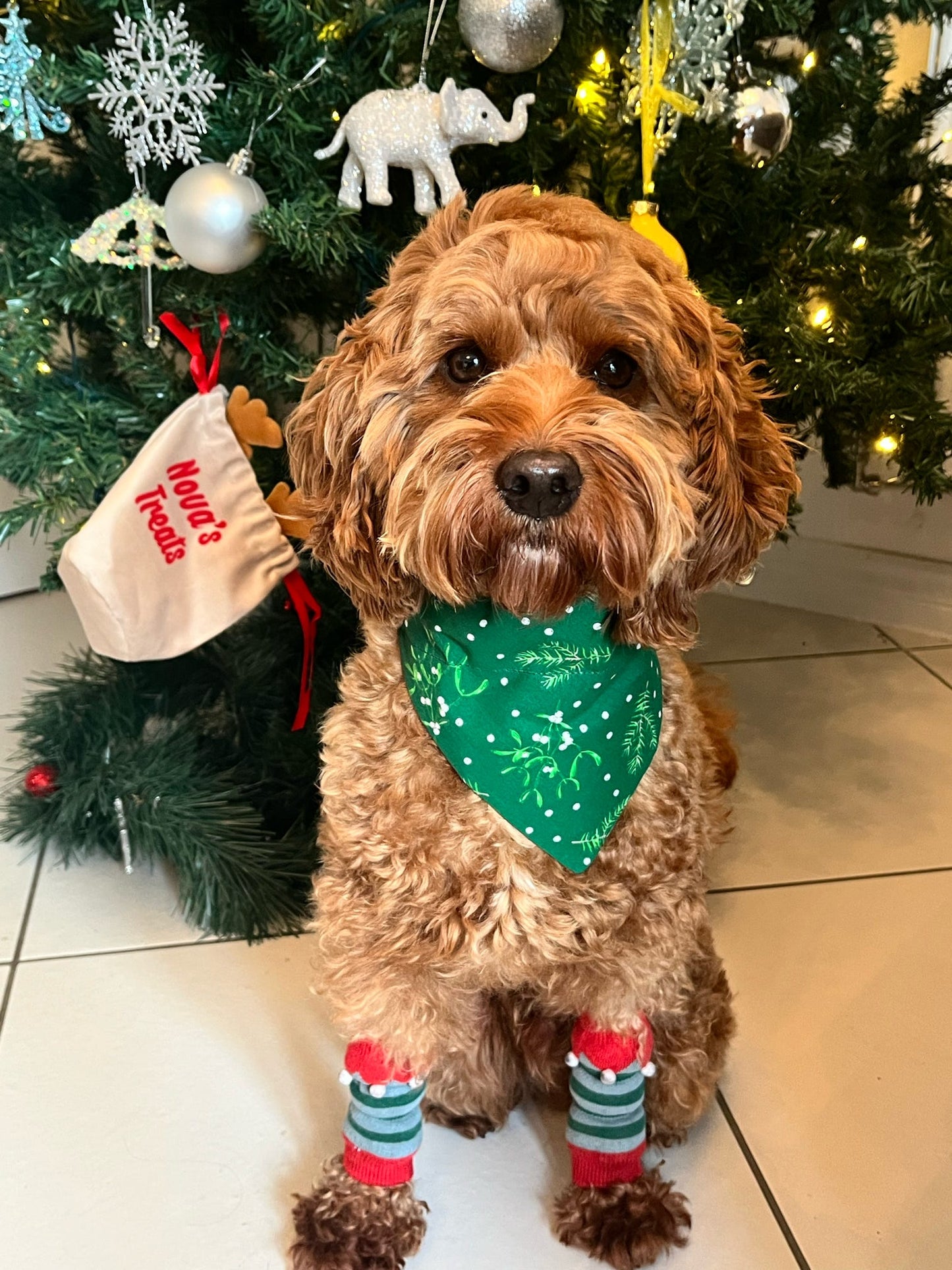 ‘Mistletoe Kisses’ Pet Bandana