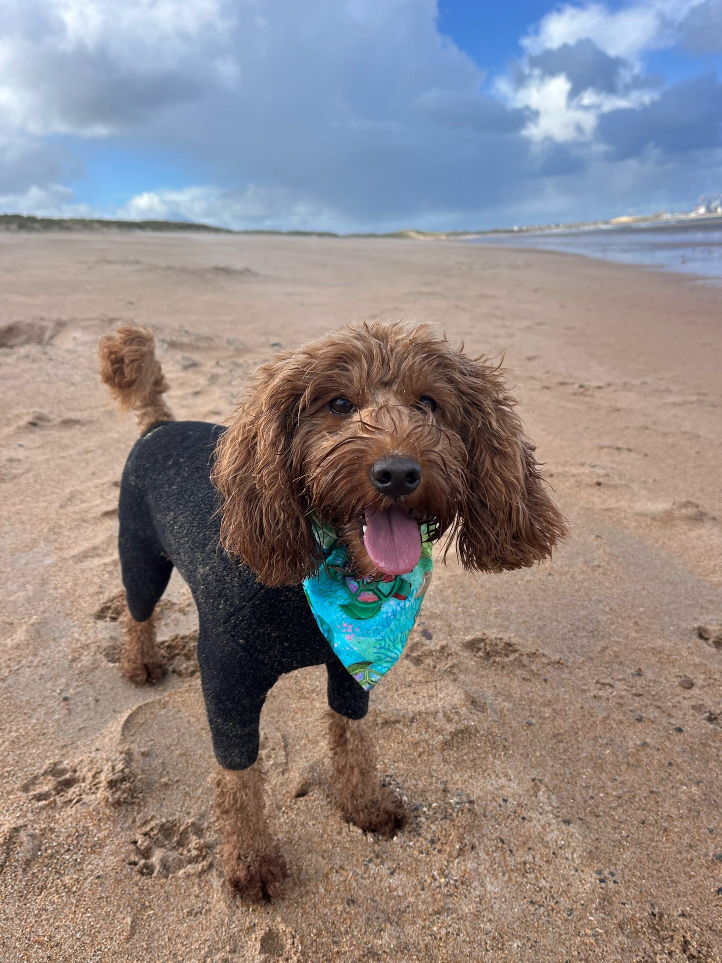 ‘Turtley Awesome’ Pet Bandana