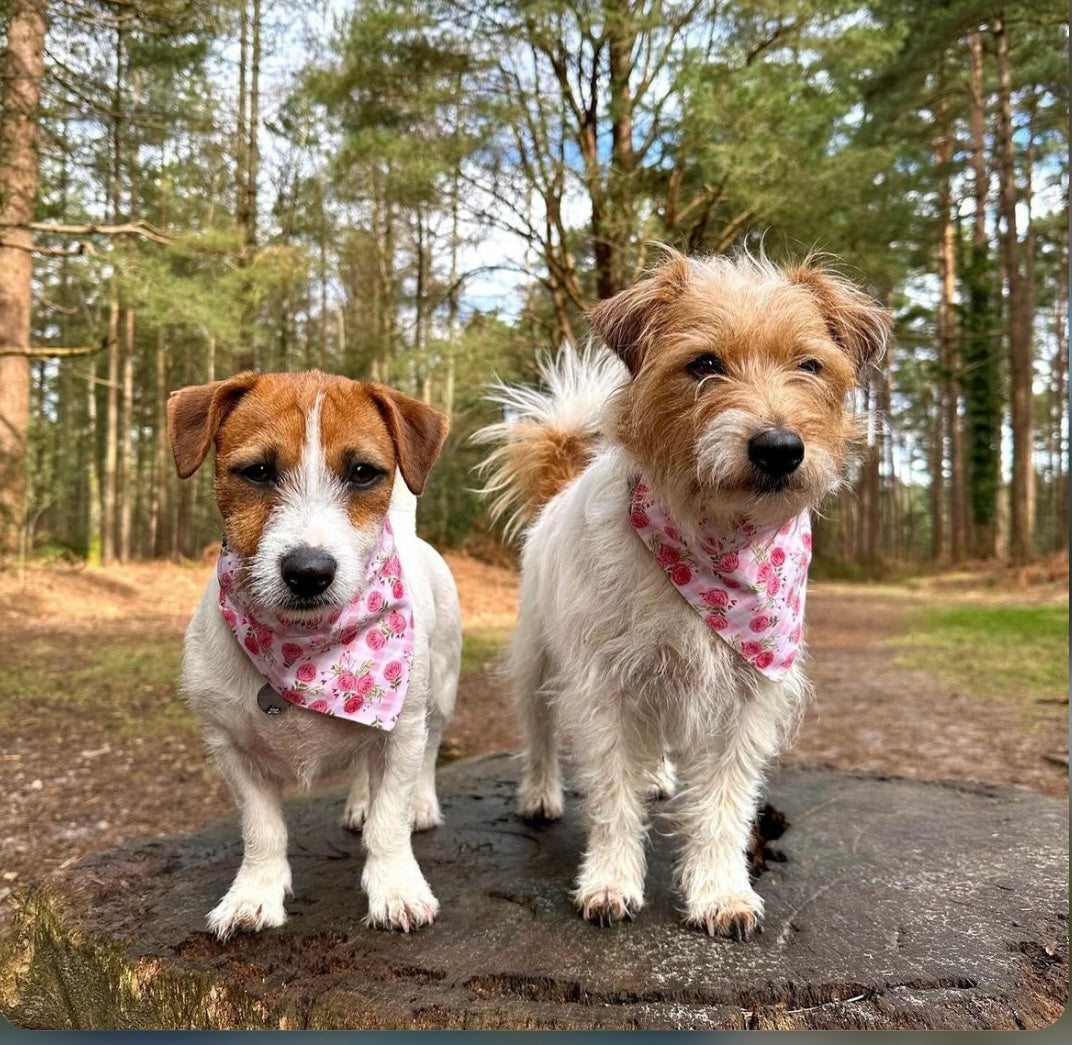 ‘Bloomin’ Lovely’ Pet Bandana