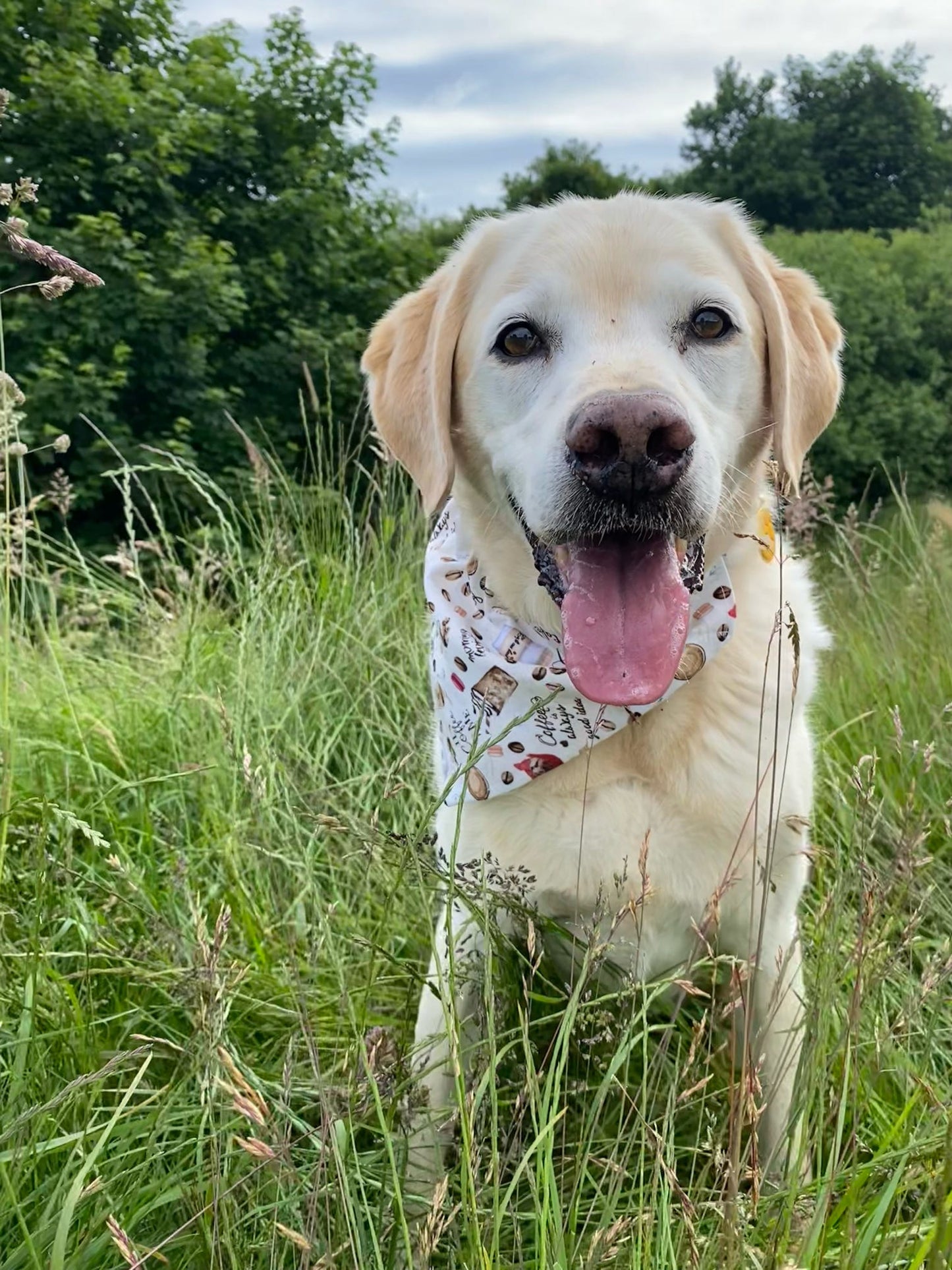 ‘Espresso Yourself’ Pet Bandana