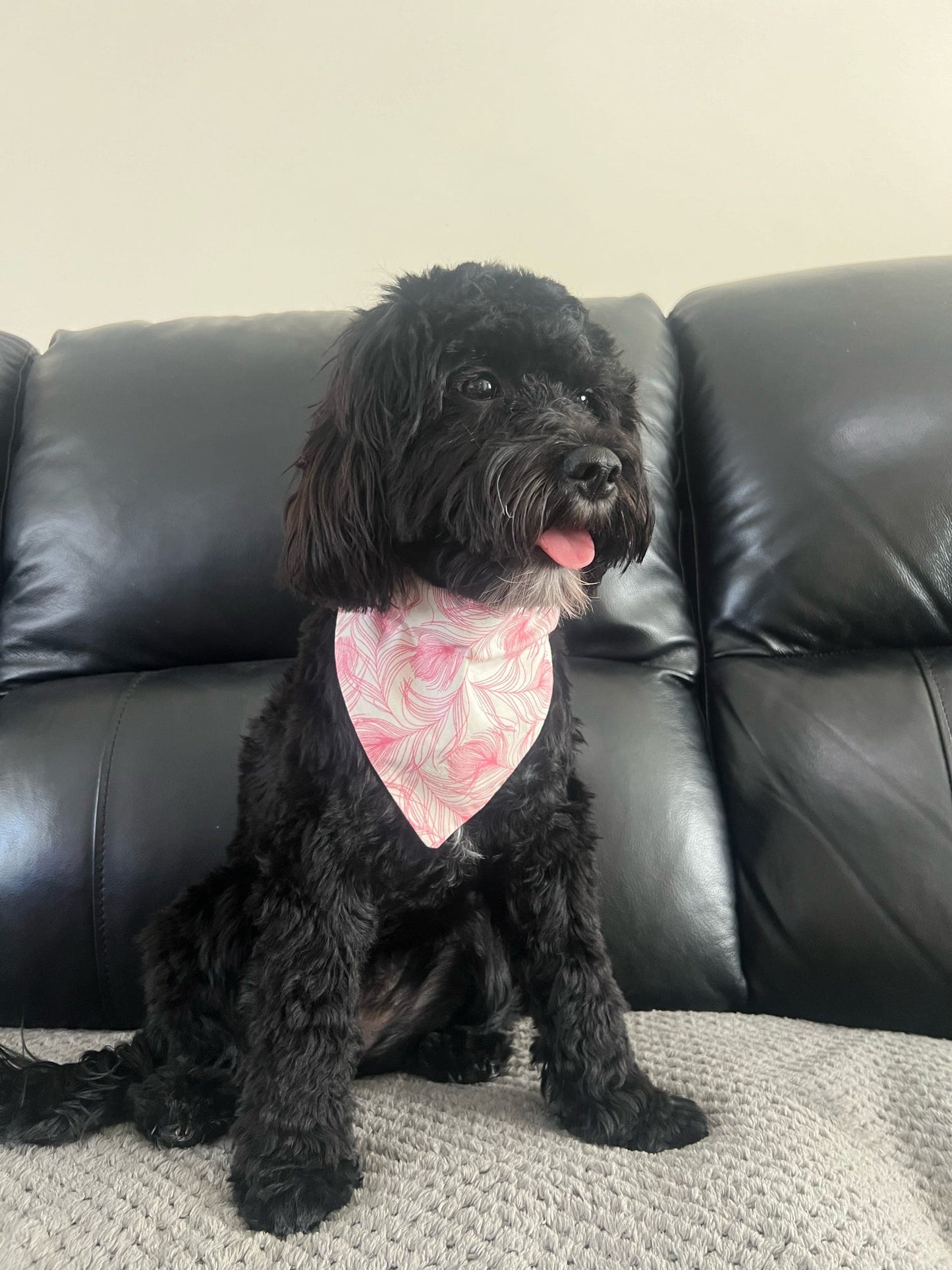 ‘In Fine Feather’ Pet Bandana