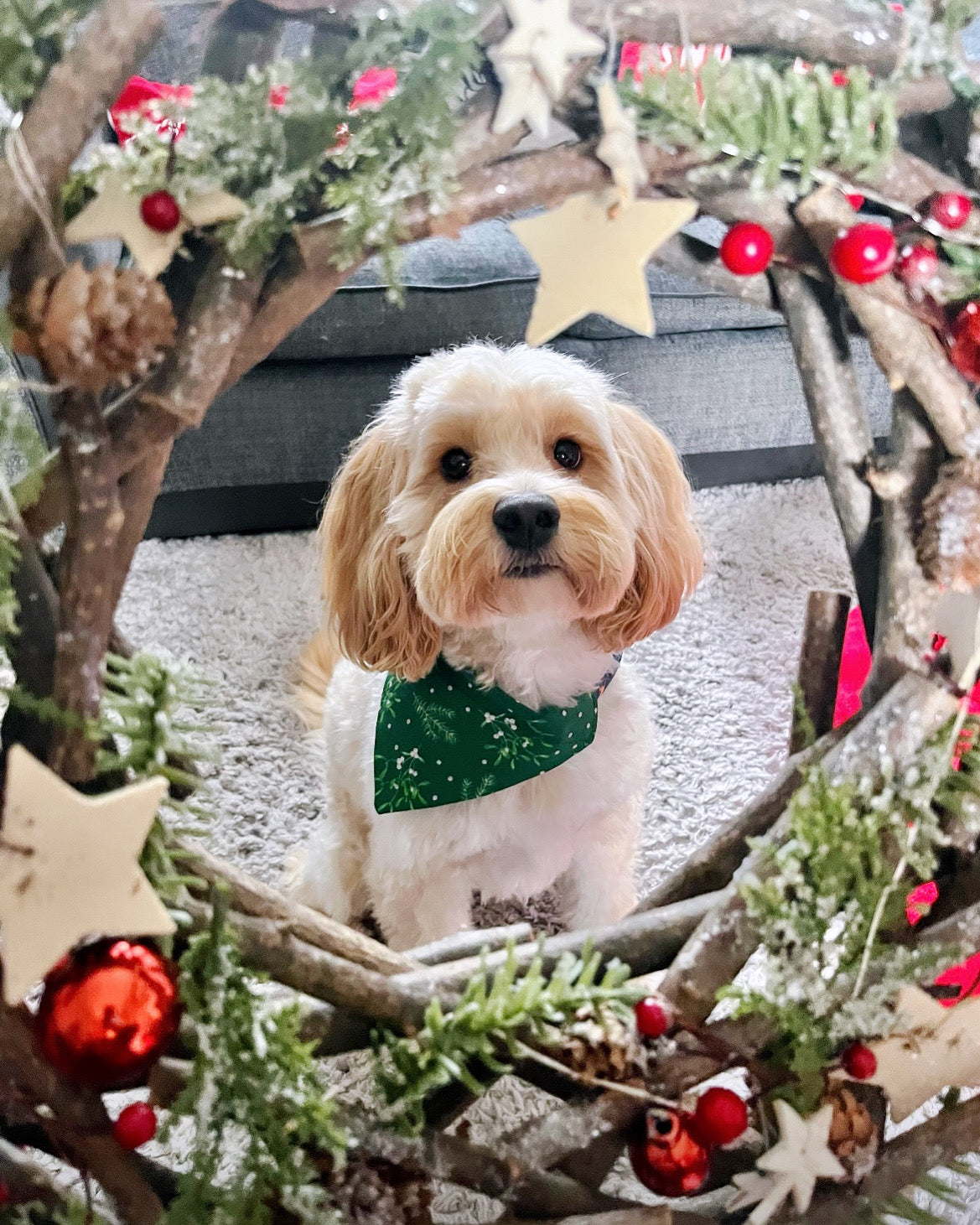 ‘Mistletoe Kisses’ Pet Bandana