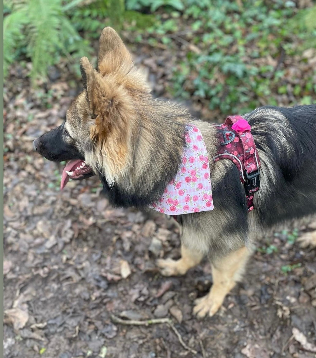 ‘Bloomin’ Lovely’ Pet Bandana