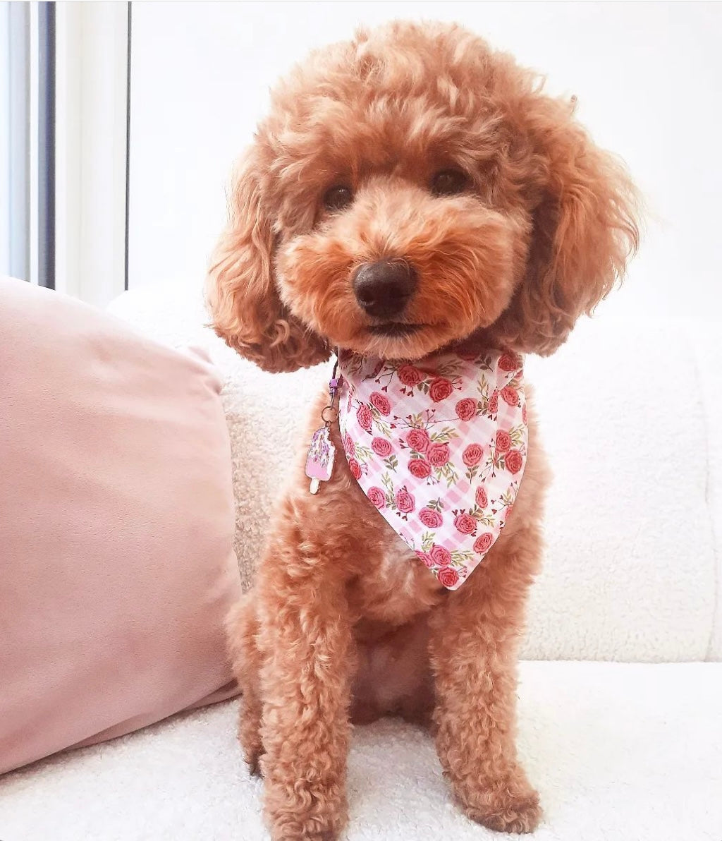 ‘Bloomin’ Lovely’ Pet Bandana