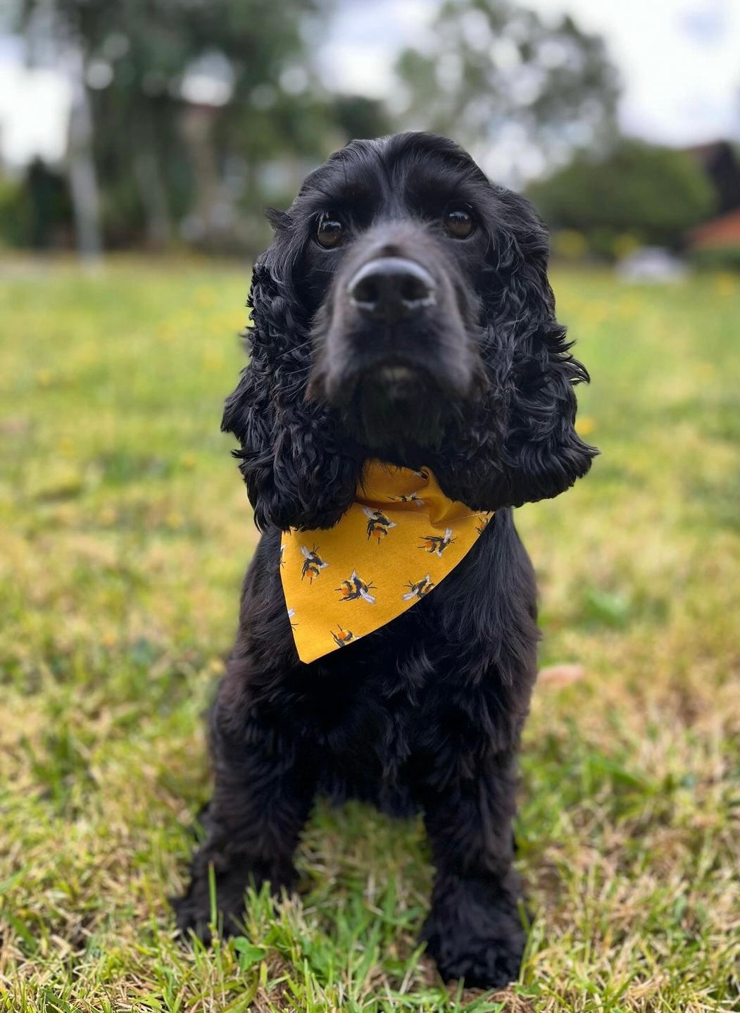 ‘Bee-utiful’ Pet Bandana (Mustard)