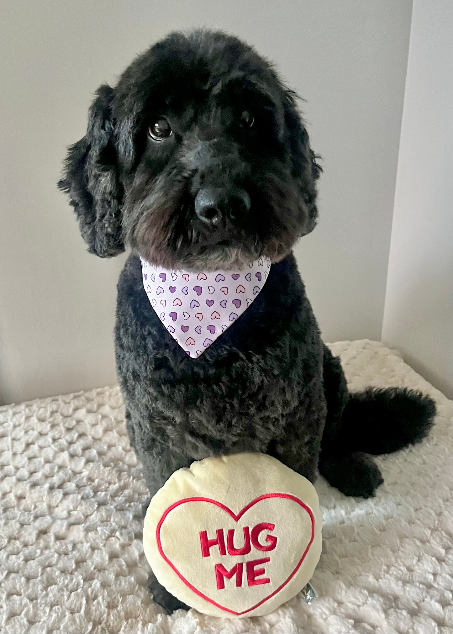 ‘Lavender Love’ Pet Bandana