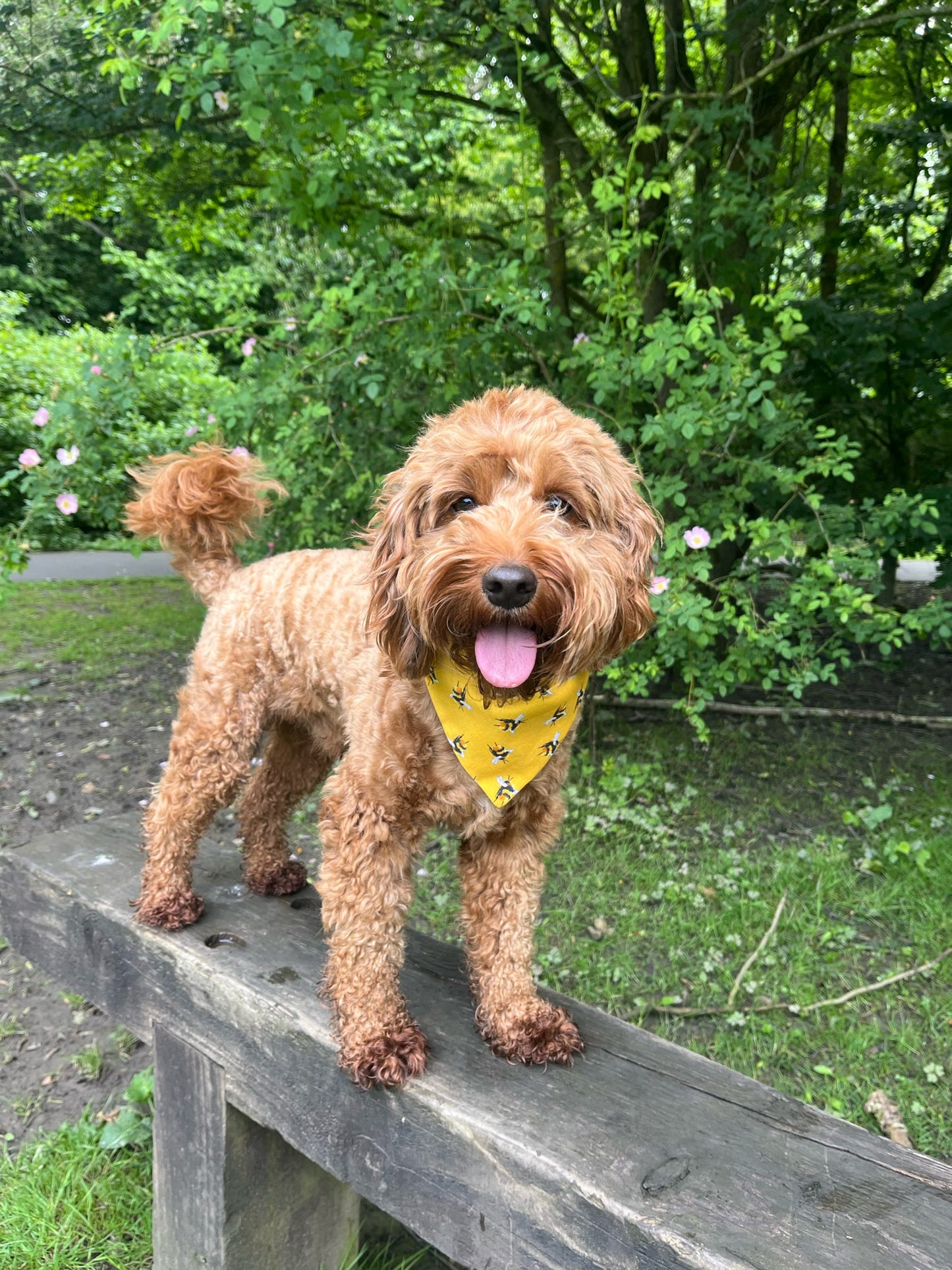 ‘Bee-utiful’ Pet Bandana (Mustard)