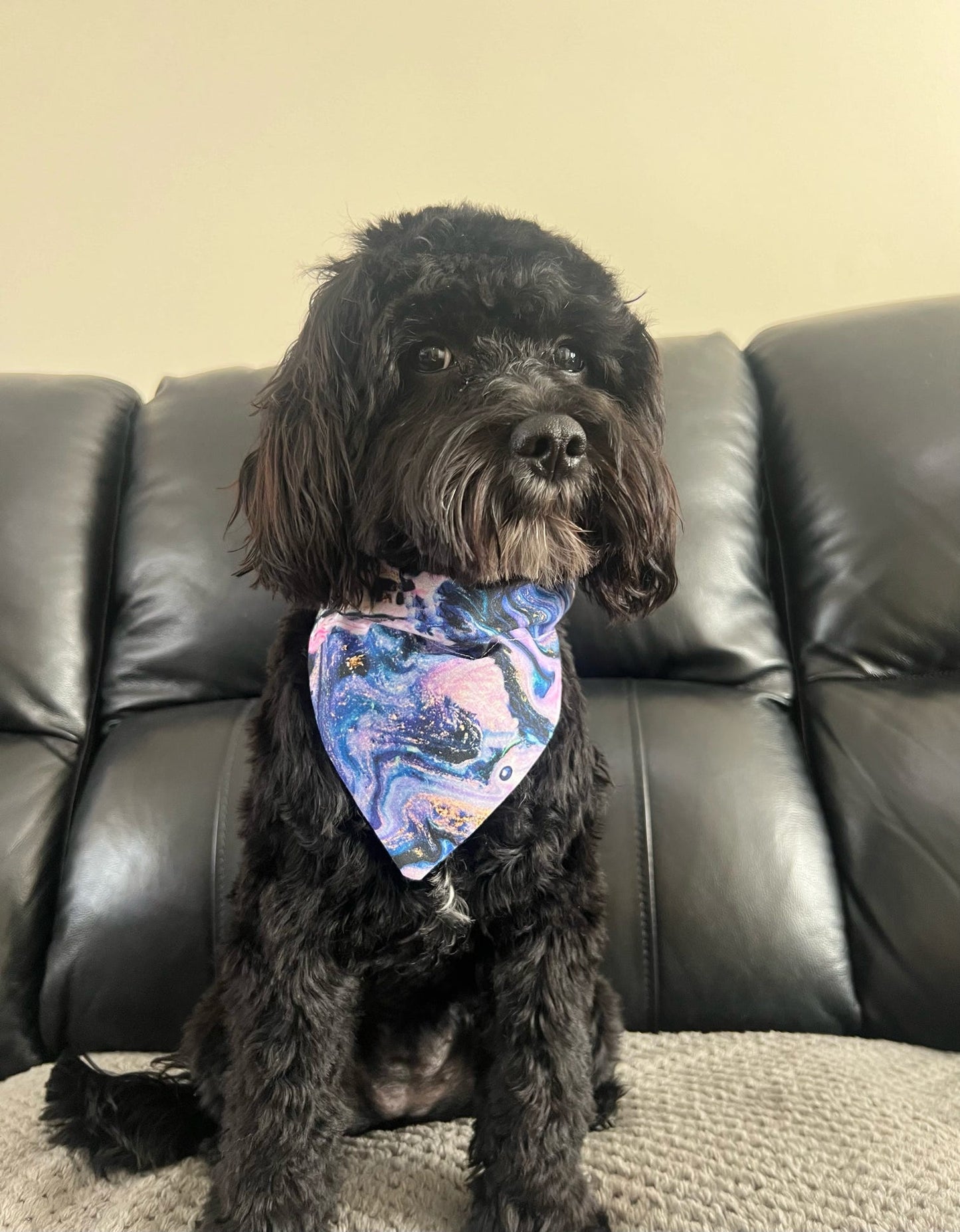 ‘Cosmic Marble’ Pet Bandana