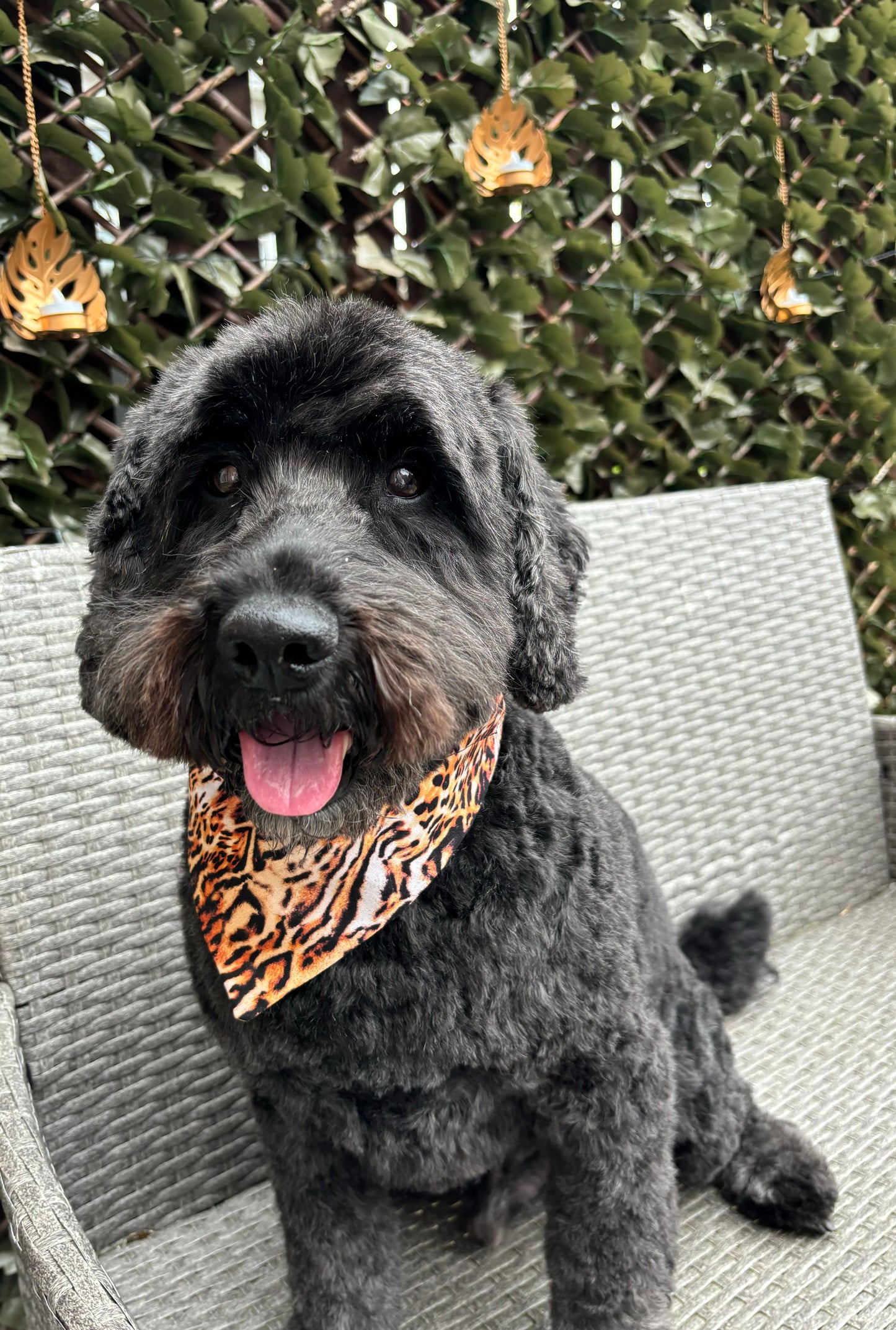 ‘Wild Thing’ Pet Bandana