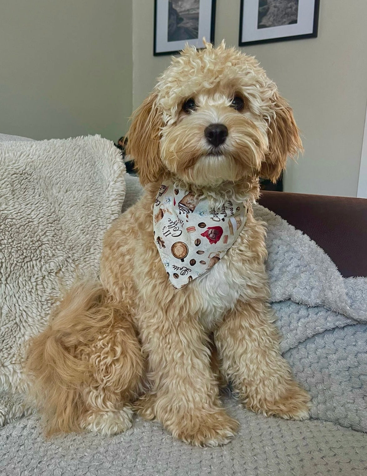 ‘Espresso Yourself’ Pet Bandana