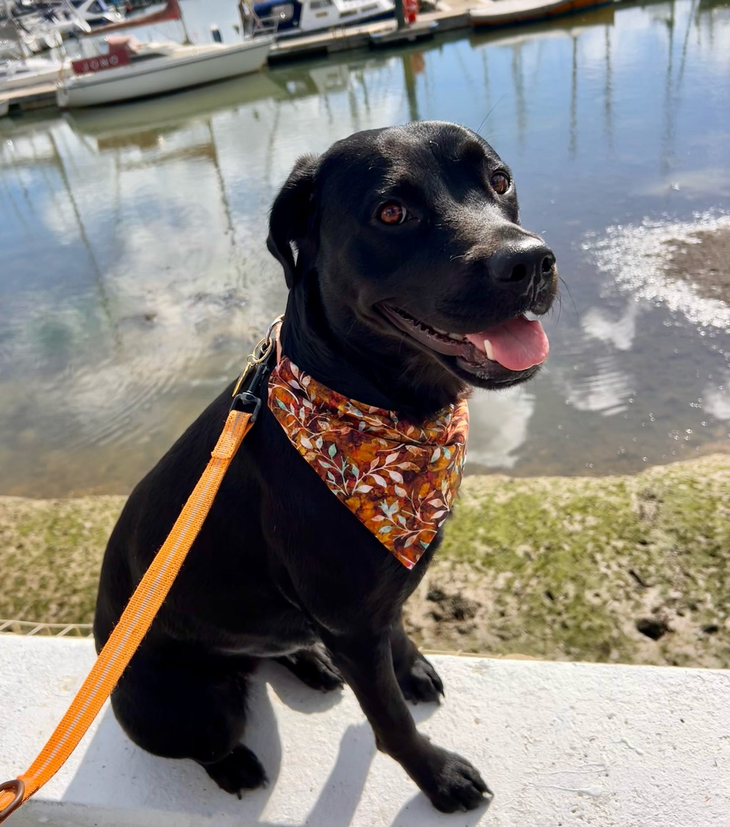 ‘Autumn Leaves’ Pet Bandana